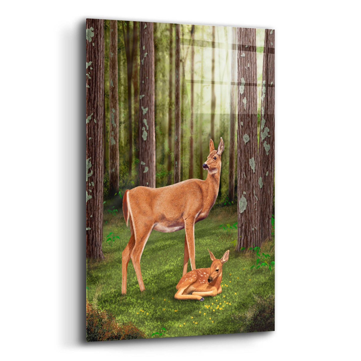 Epic Art 'Doe and Fawn' by Chris Dobrowolski, Acrylic Glass Wall Art,12x16