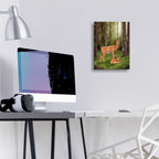 Epic Art 'Doe and Fawn' by Chris Dobrowolski, Acrylic Glass Wall Art,12x16