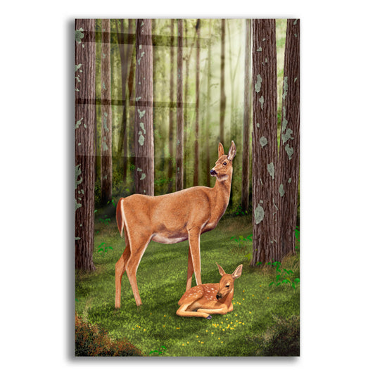 Epic Art 'Doe and Fawn' by Chris Dobrowolski, Acrylic Glass Wall Art