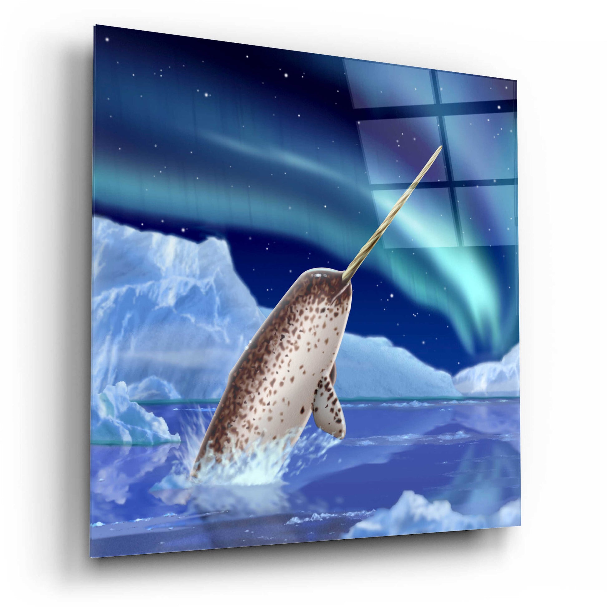 Epic Art 'Narwhal and Northern Lights' by Chris Dobrowolski, Acrylic Glass Wall Art,12x12