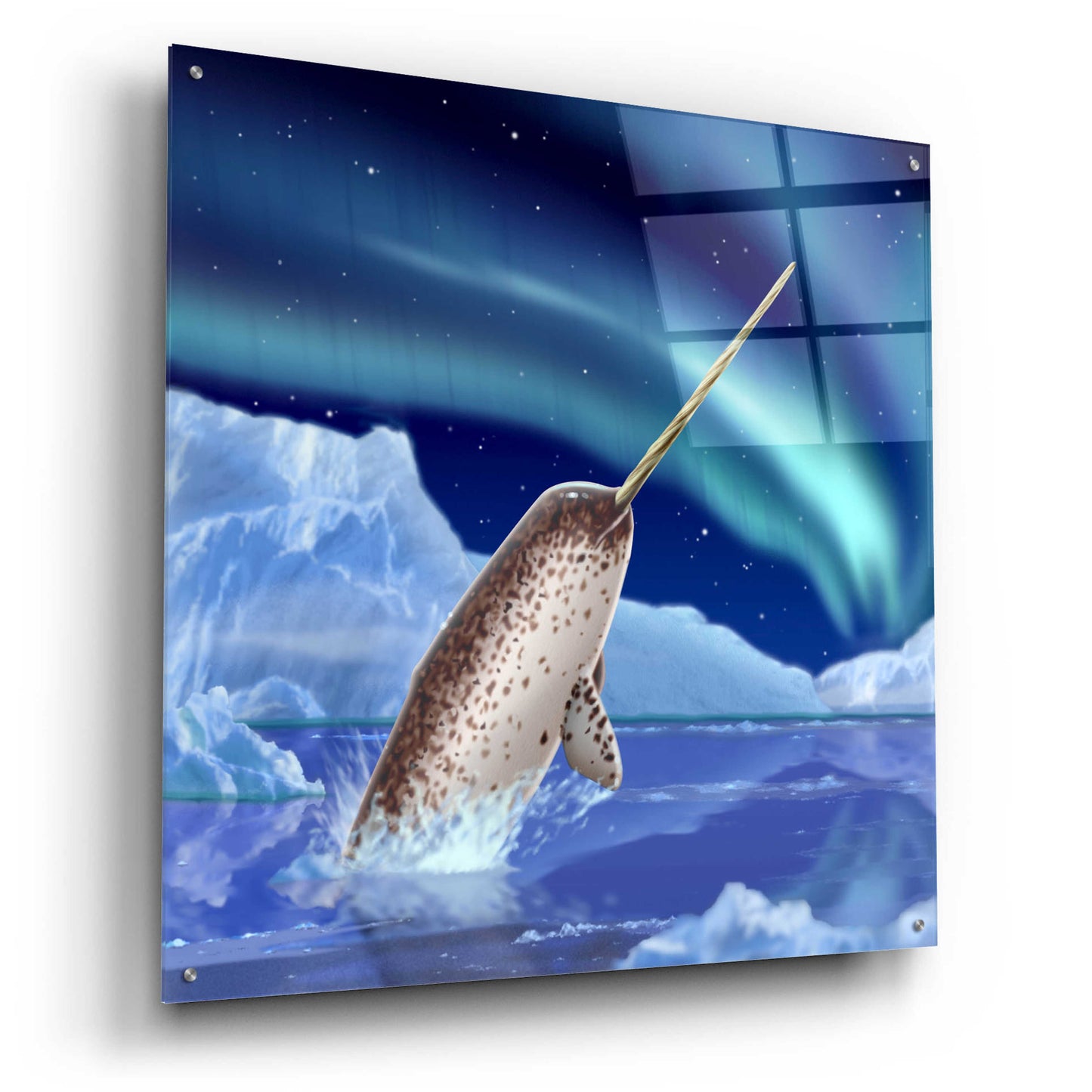 Epic Art 'Narwhal and Northern Lights' by Chris Dobrowolski, Acrylic Glass Wall Art,36x36