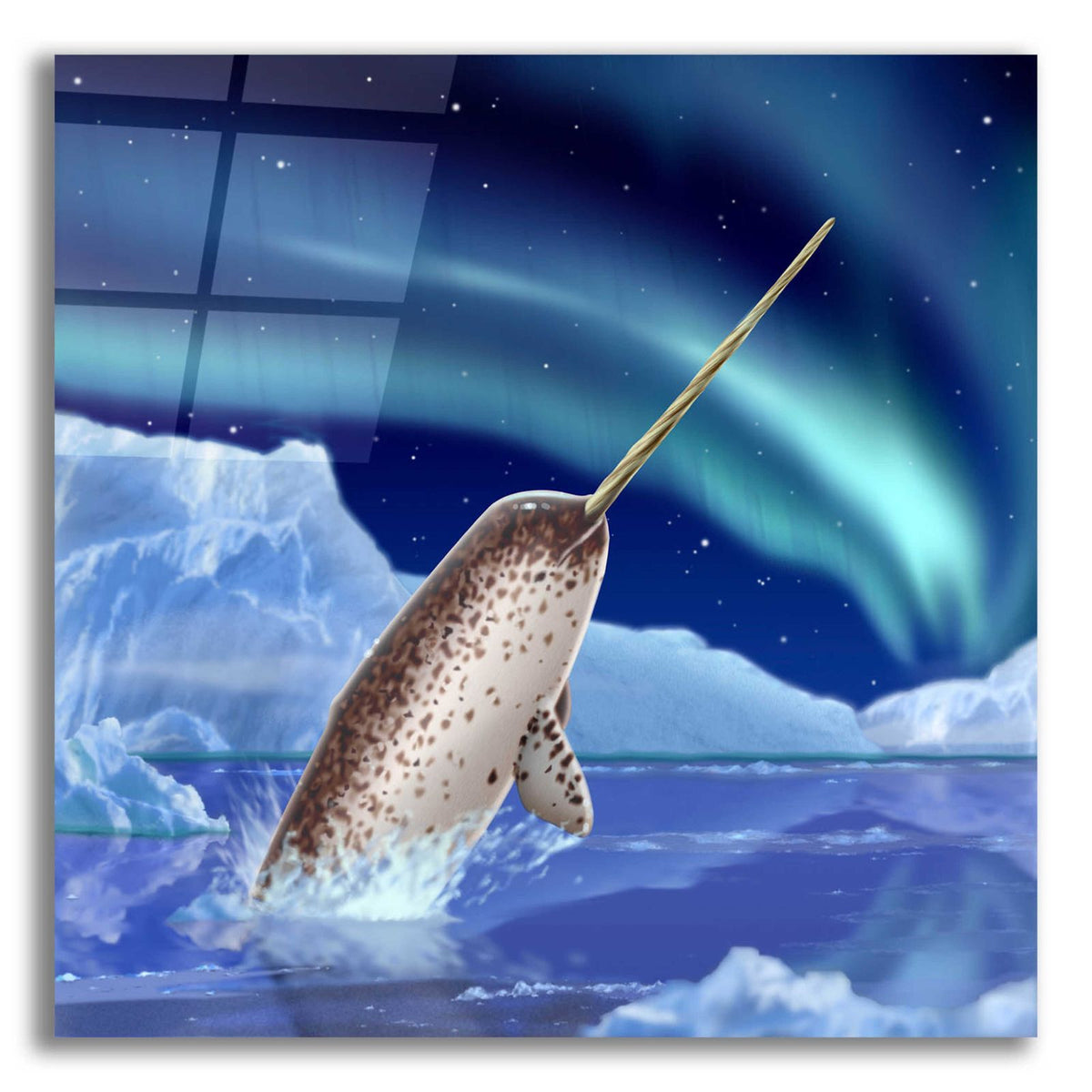 Narwhal and Northern Lights by Chris Dobrowolski acrylic glass wall art