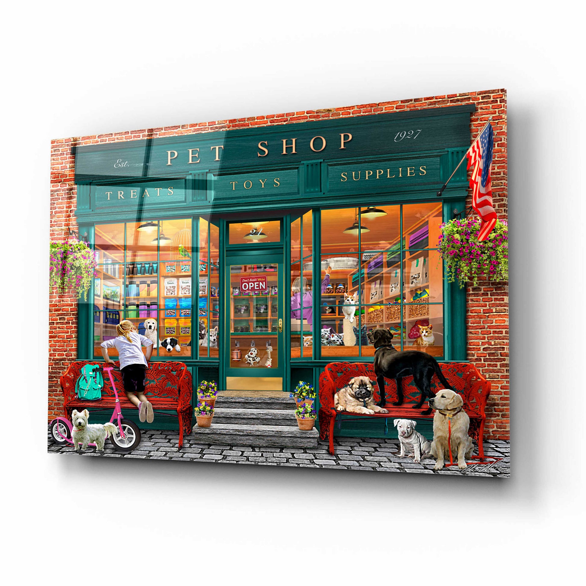 Epic Art 'Pet Shop' by Chris Dobrowolski, Acrylic Glass Wall Art,16x12