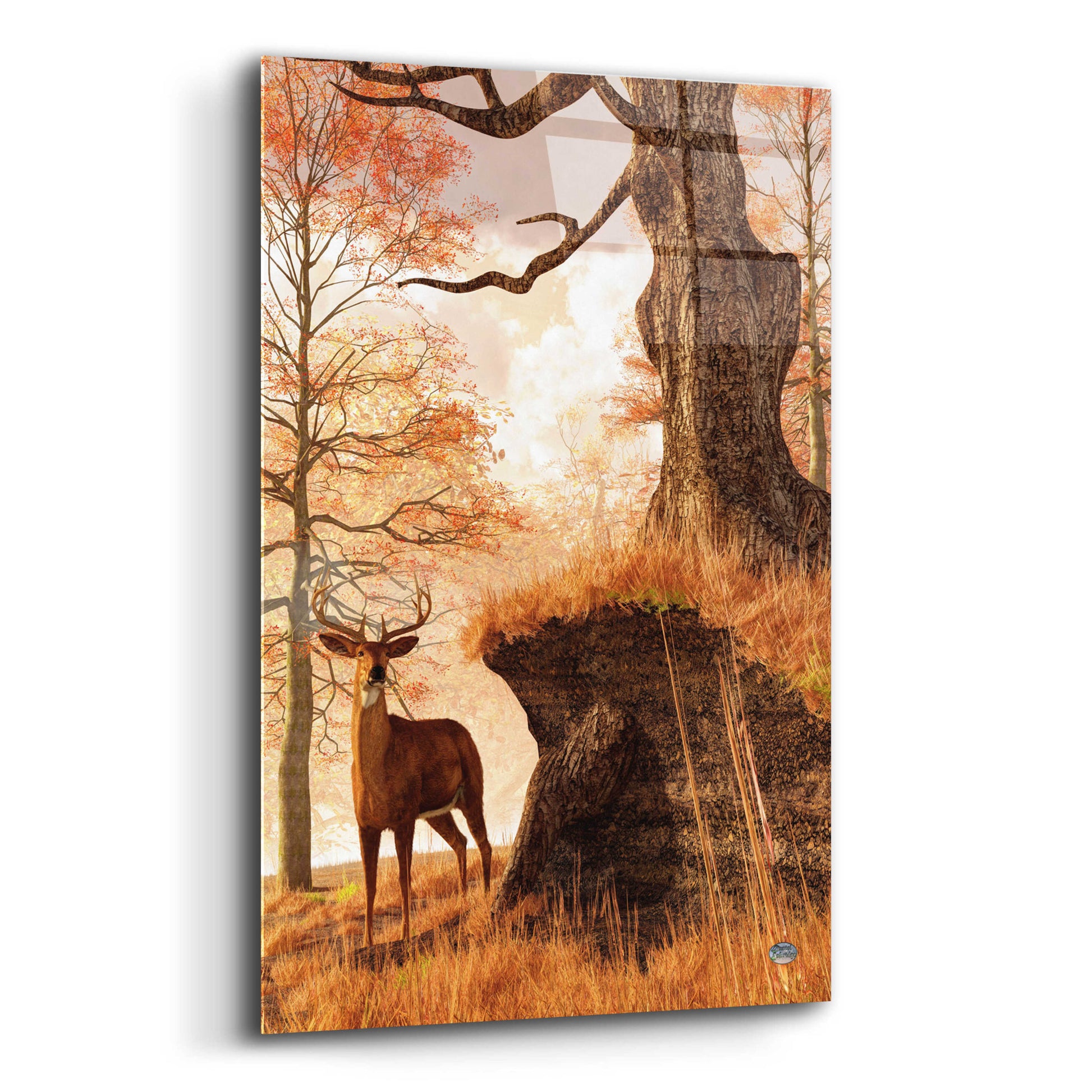 Epic Art 'Autumn Buck' by Daniel Eskridge, Acrylic Glass Wall Art,12x16