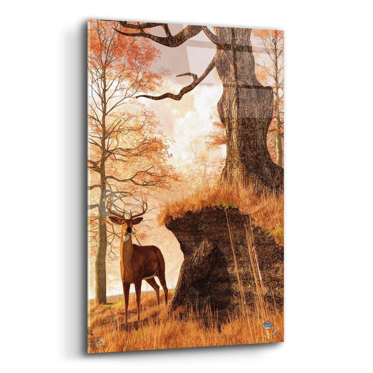 Epic Art 'Autumn Buck' by Daniel Eskridge, Acrylic Glass Wall Art,24x36