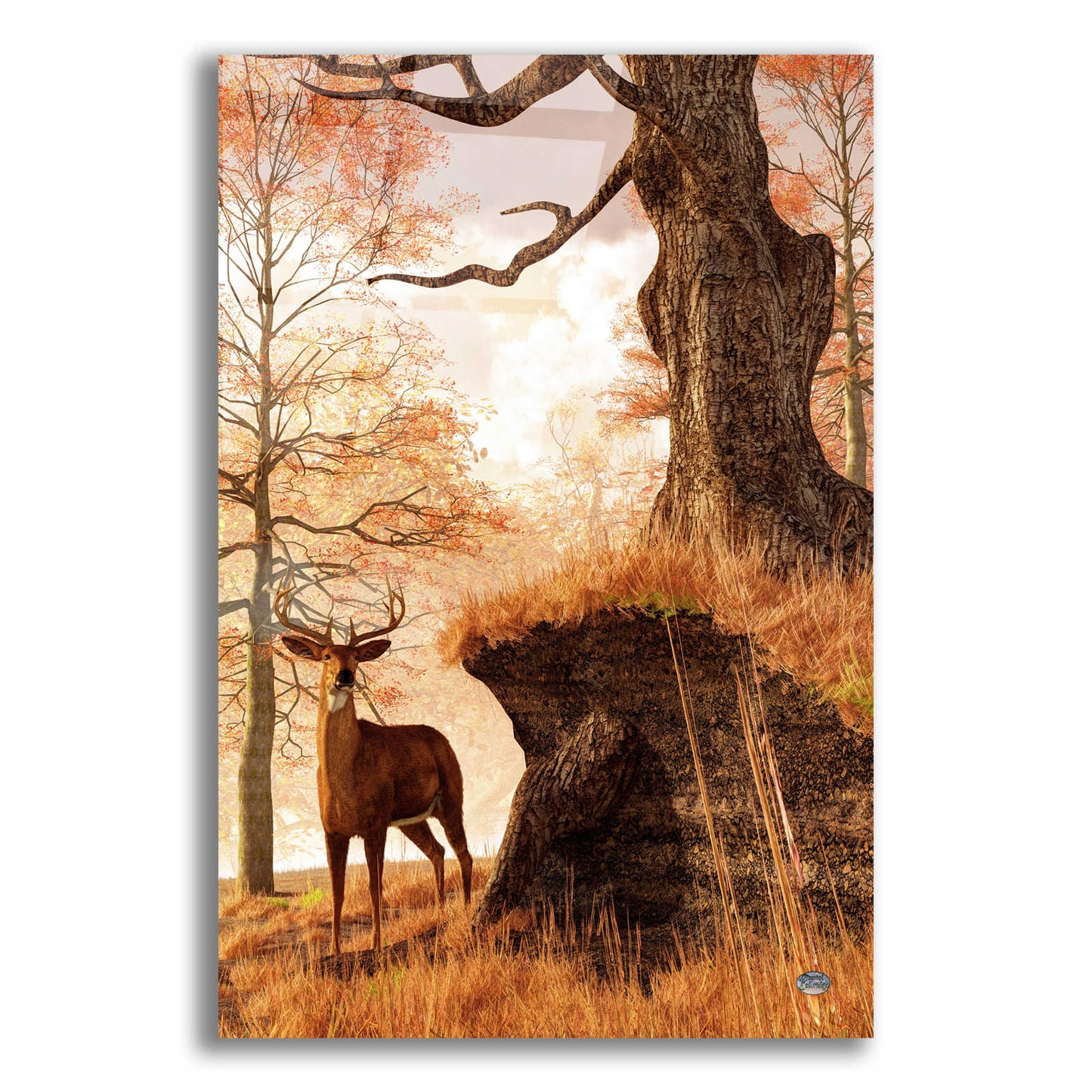 Epic Art 'Autumn Buck' by Daniel Eskridge, Acrylic Glass Wall Art