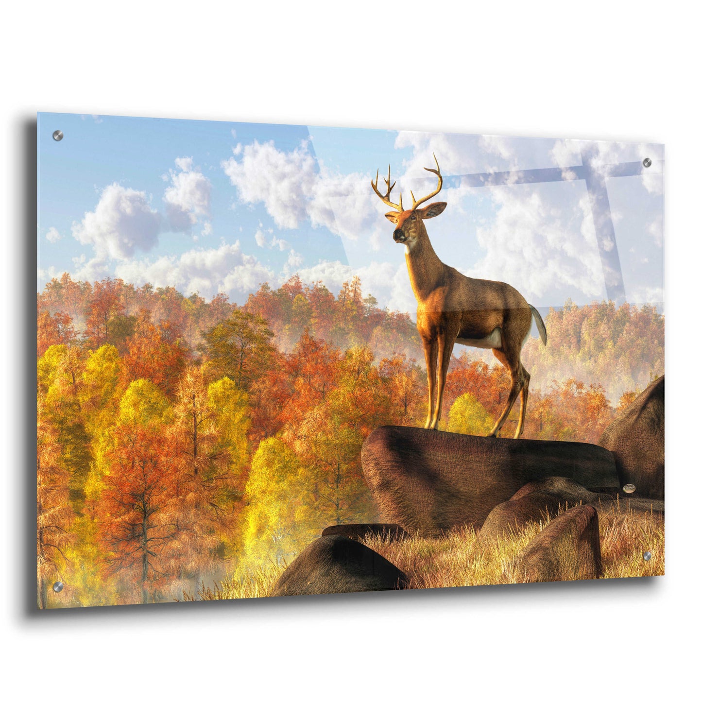 Epic Art 'Buck Over Autumn Valley' by Daniel Eskridge, Acrylic Glass Wall Art,36x24