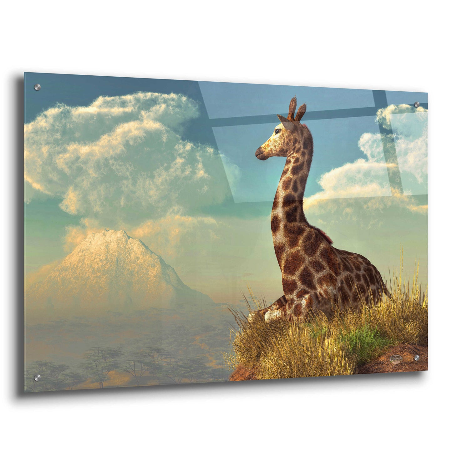 Epic Art 'Giraffe And Distant Mountain' by Daniel Eskridge, Acrylic Glass Wall Art,36x24