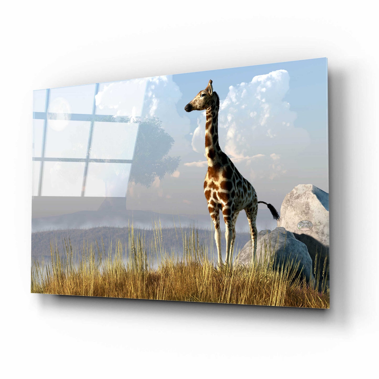 Epic Art 'Giraffe And Giant Tree' by Daniel Eskridge, Acrylic Glass Wall Art,16x12