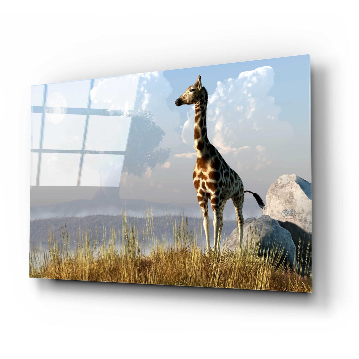 Epic Art 'Giraffe And Giant Tree' by Daniel Eskridge, Acrylic Glass Wall Art,24x16