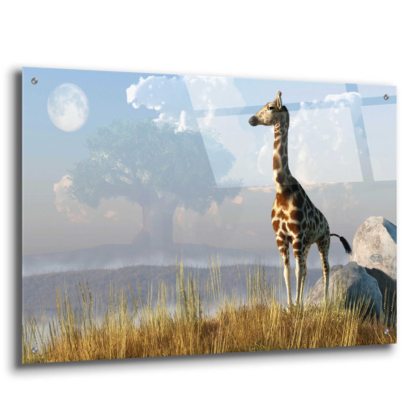 Epic Art 'Giraffe And Giant Tree' by Daniel Eskridge, Acrylic Glass Wall Art,36x24