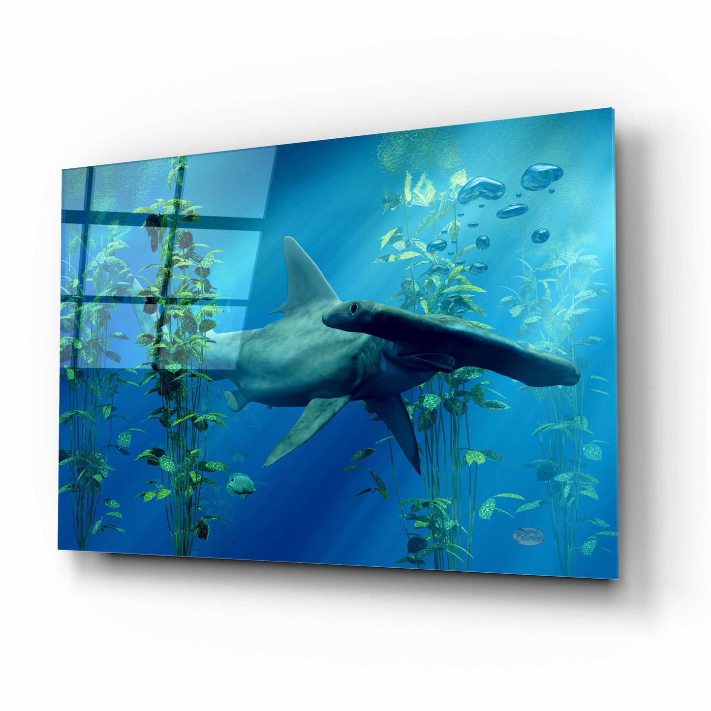 Epic Art 'Hammerhead' by Daniel Eskridge, Acrylic Glass Wall Art,16x12