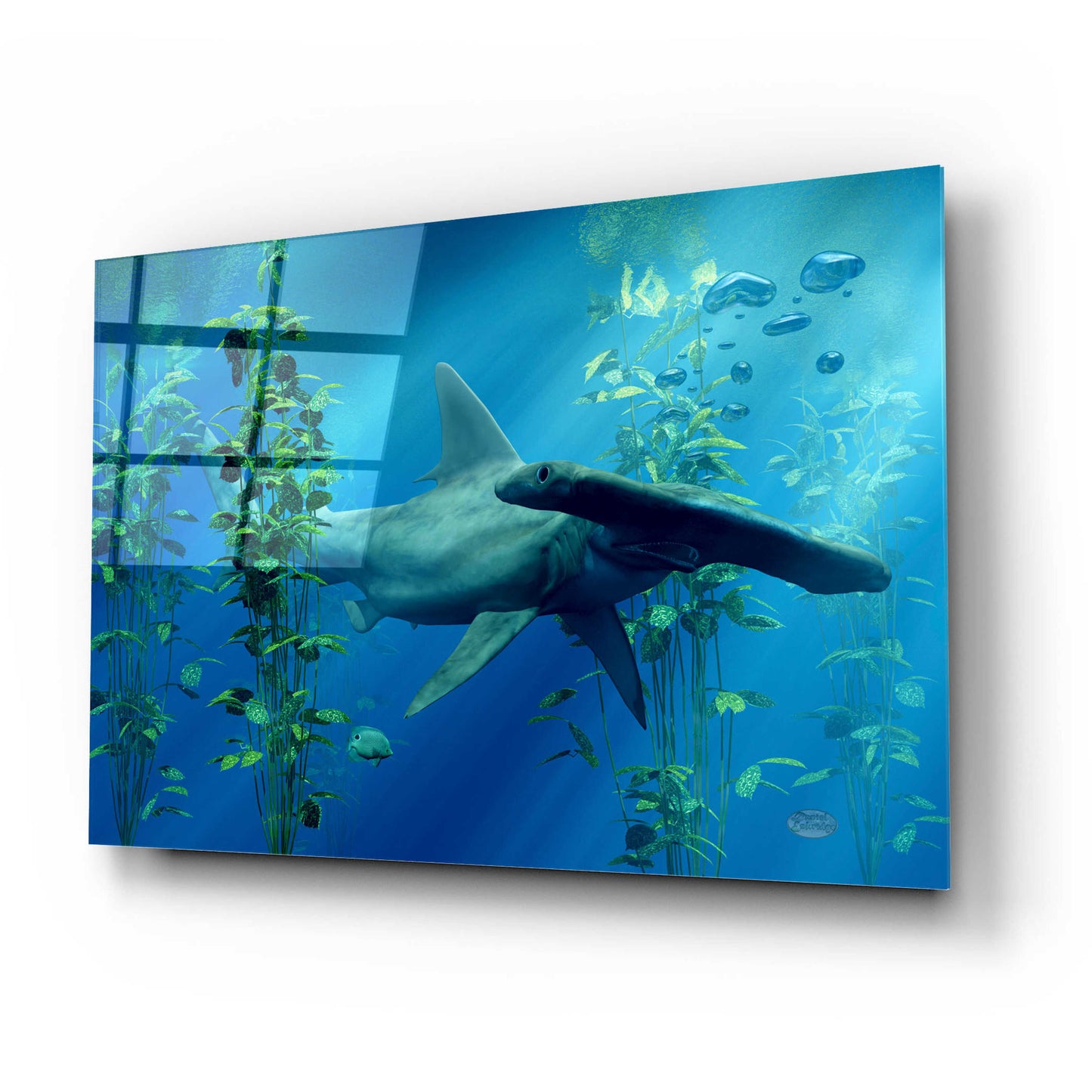 Epic Art 'Hammerhead' by Daniel Eskridge, Acrylic Glass Wall Art,24x16