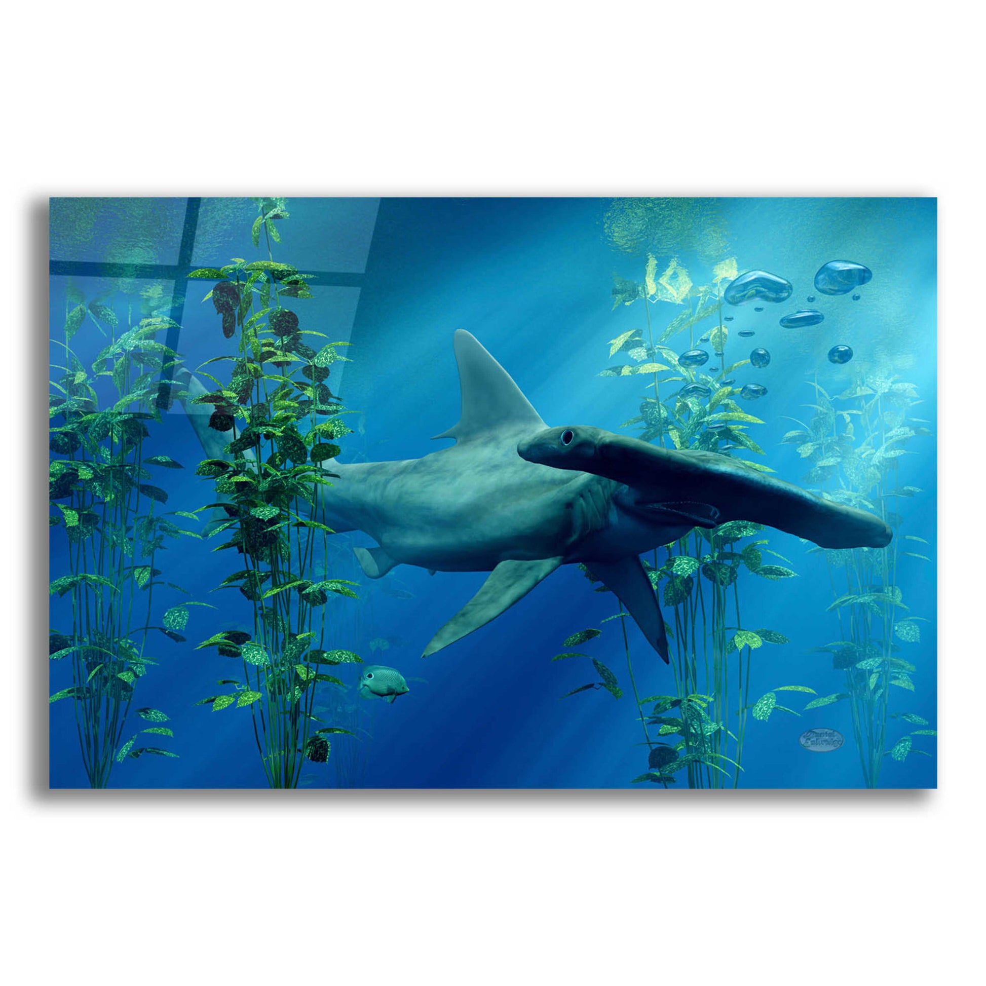 Epic Art 'Hammerhead' by Daniel Eskridge, Acrylic Glass Wall Art,24x16