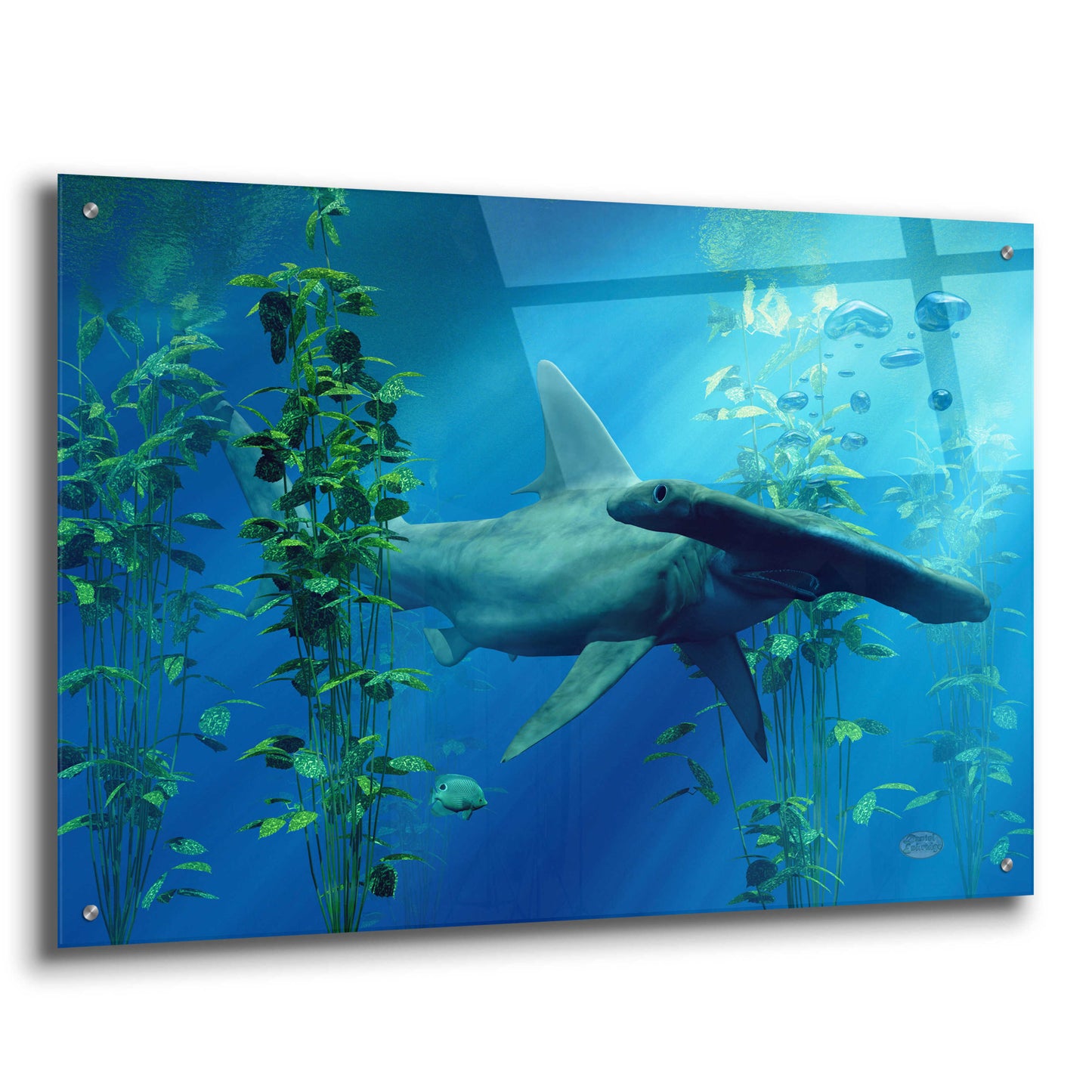 Epic Art 'Hammerhead' by Daniel Eskridge, Acrylic Glass Wall Art,36x24