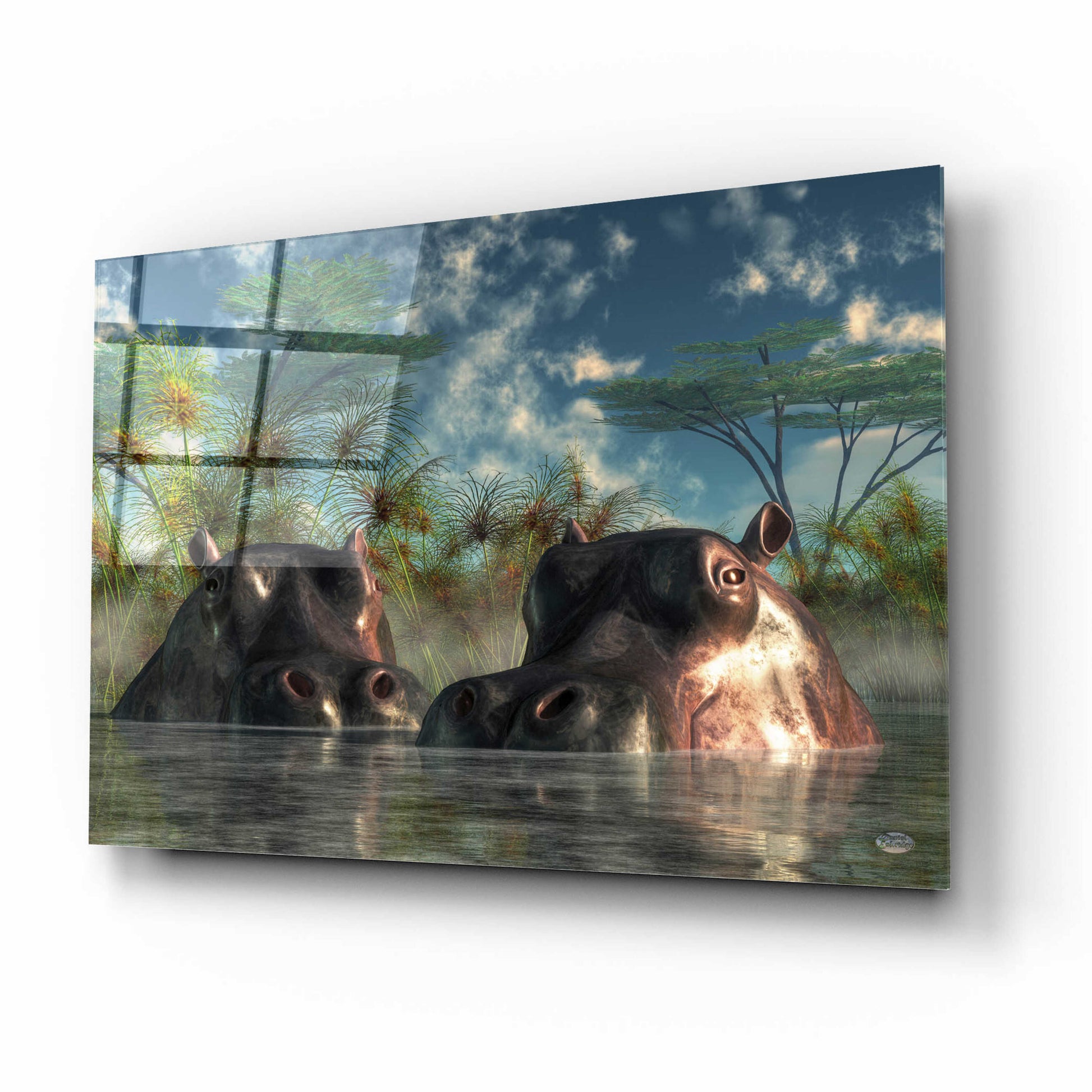 Epic Art 'Hippos Coming To Get You' by Daniel Eskridge, Acrylic Glass Wall Art,16x12