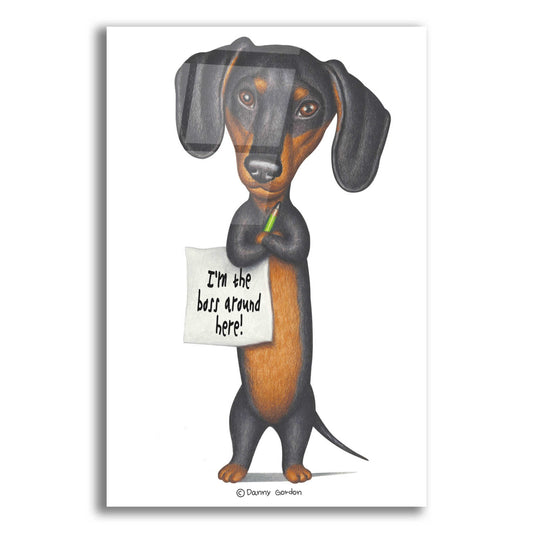 Epic Art 'Black Dachshund Holding Green Pencil' by Danny Gordon Art, Acrylic Glass Wall Art