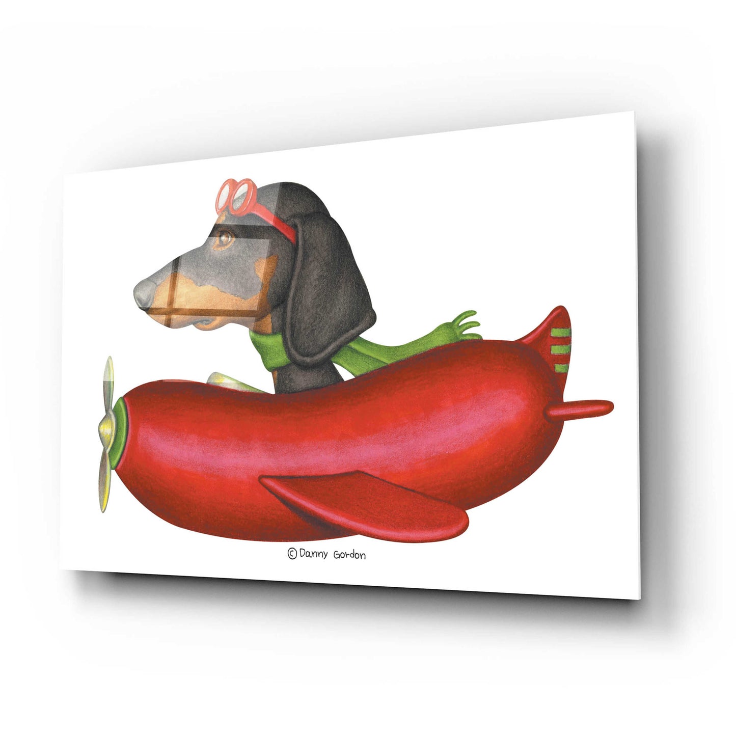 Epic Art 'Black Dachshund in Red Plane' by Danny Gordon Art, Acrylic Glass Wall Art,24x16