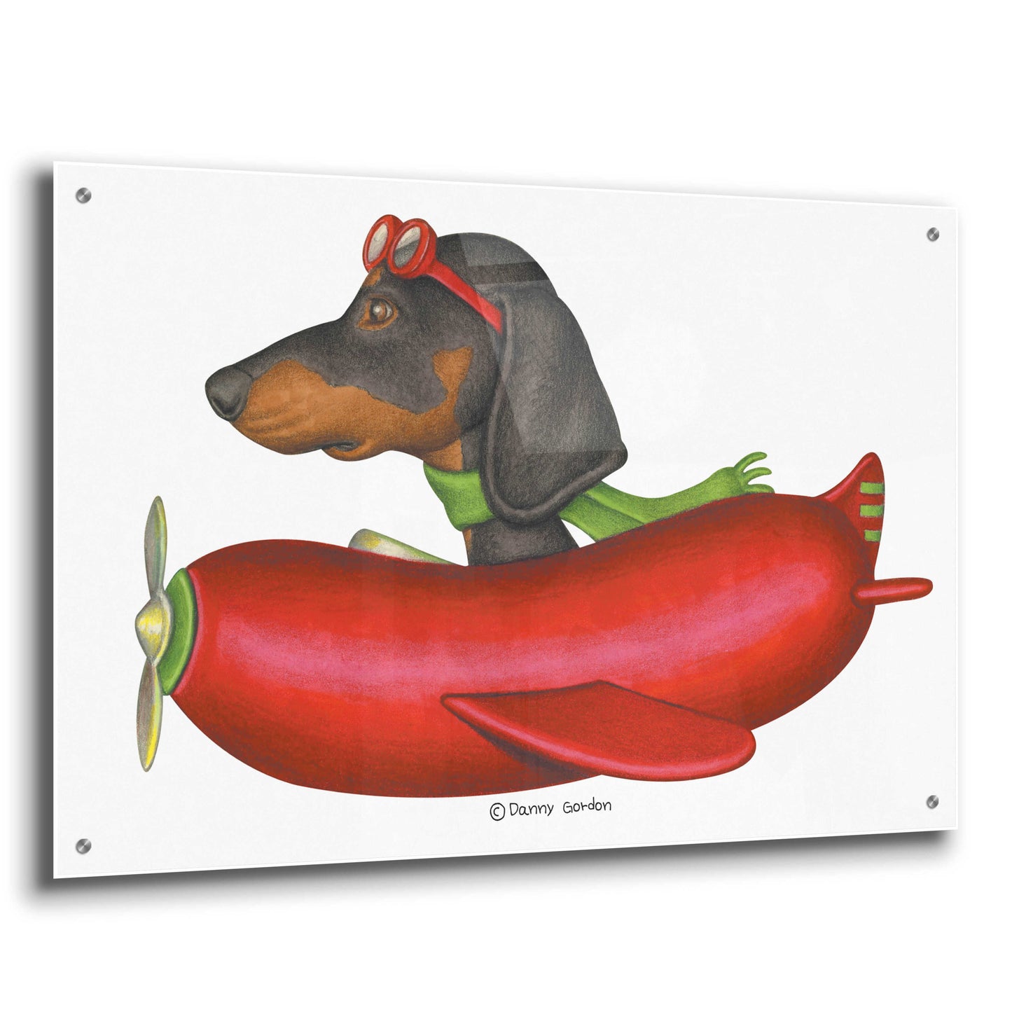 Epic Art 'Black Dachshund in Red Plane' by Danny Gordon Art, Acrylic Glass Wall Art,36x24