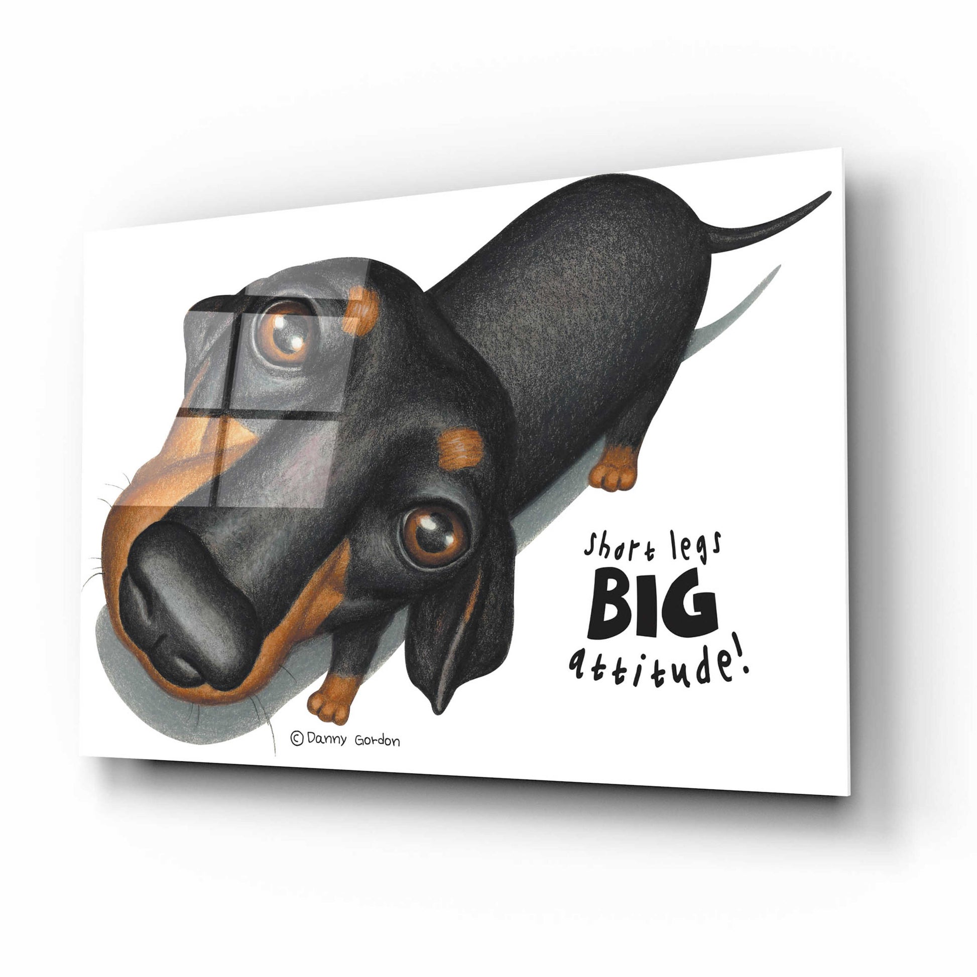 Epic Art 'Black Dachshund Looking Up' by Danny Gordon Art, Acrylic Glass Wall Art,16x12