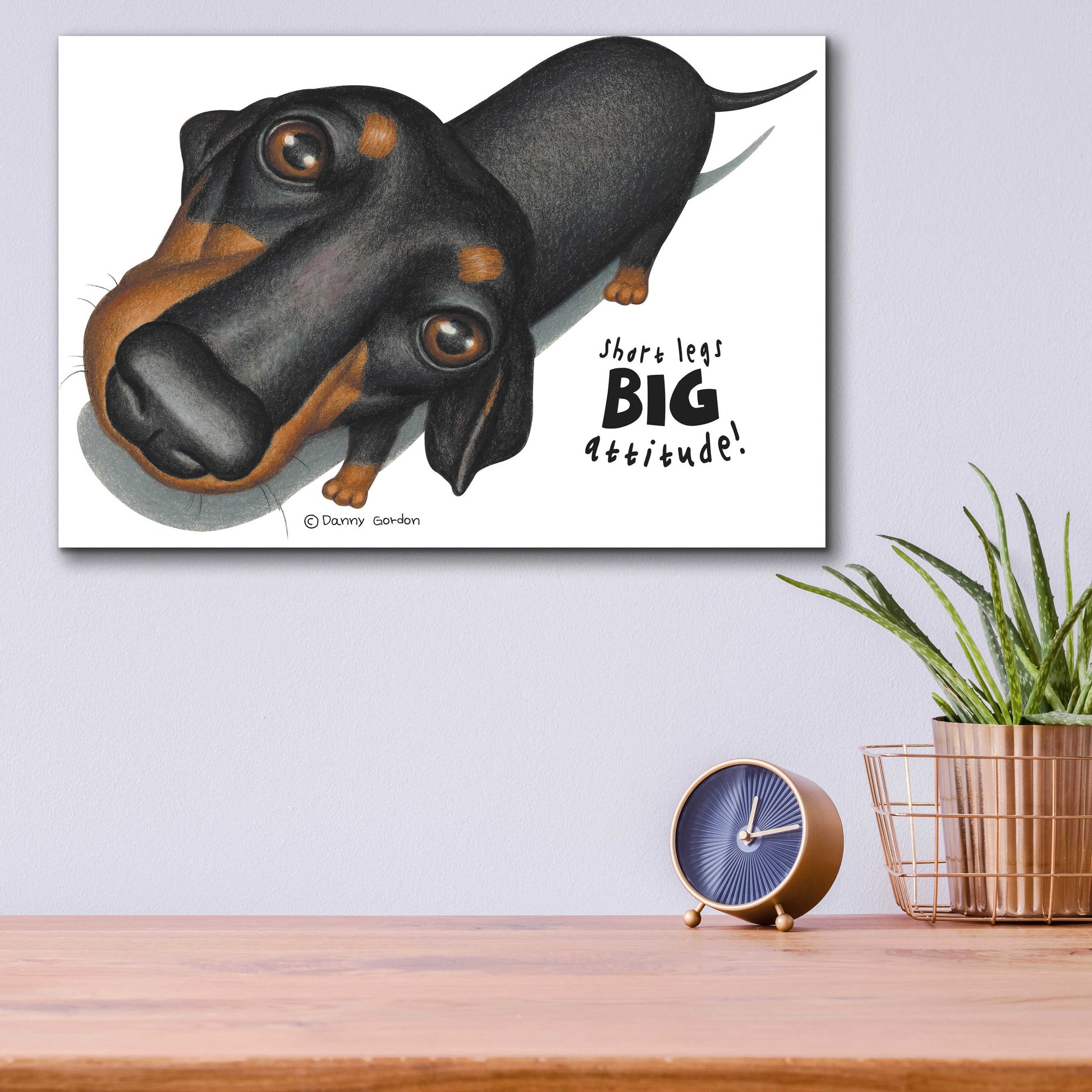 Epic Art 'Black Dachshund Looking Up' by Danny Gordon Art, Acrylic Glass Wall Art,16x12