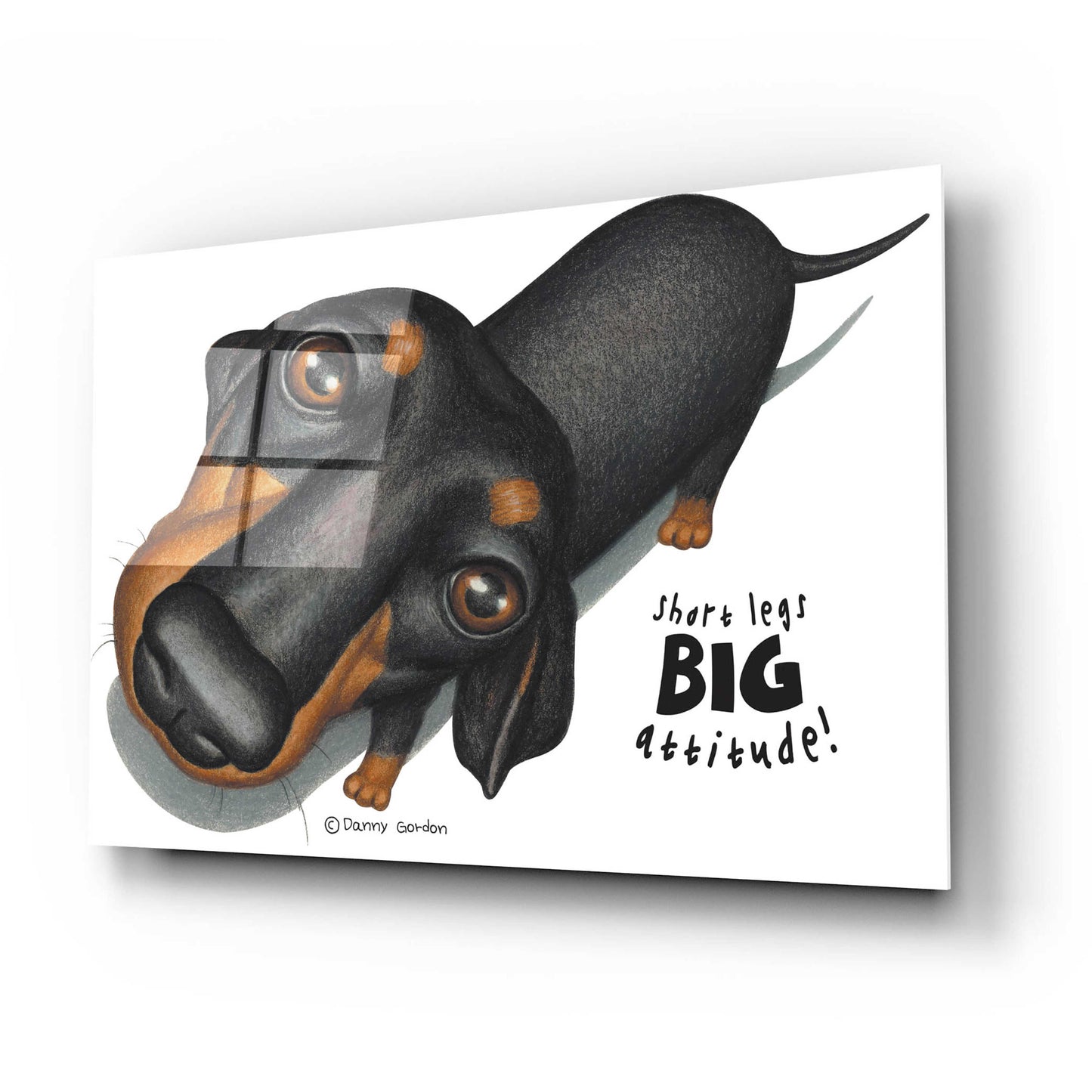 Epic Art 'Black Dachshund Looking Up' by Danny Gordon Art, Acrylic Glass Wall Art,24x16