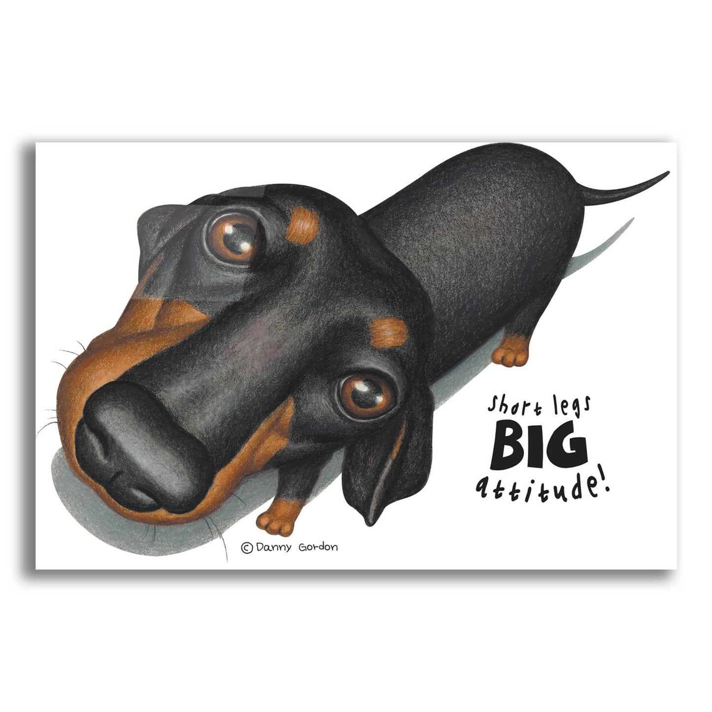 Epic Art 'Black Dachshund Looking Up' by Danny Gordon Art, Acrylic Glass Wall Art,24x16