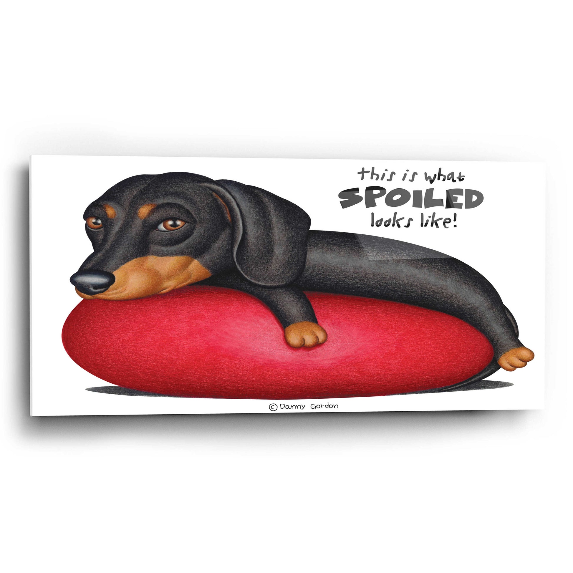 Epic Art 'Black Dachshund on Red Cushion' by Danny Gordon Art, Acrylic Glass Wall Art,24x12