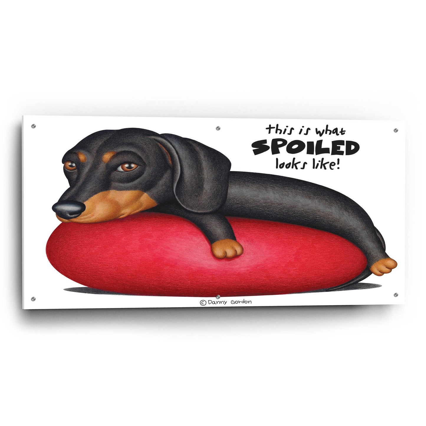 Epic Art 'Black Dachshund on Red Cushion' by Danny Gordon Art, Acrylic Glass Wall Art,48x24