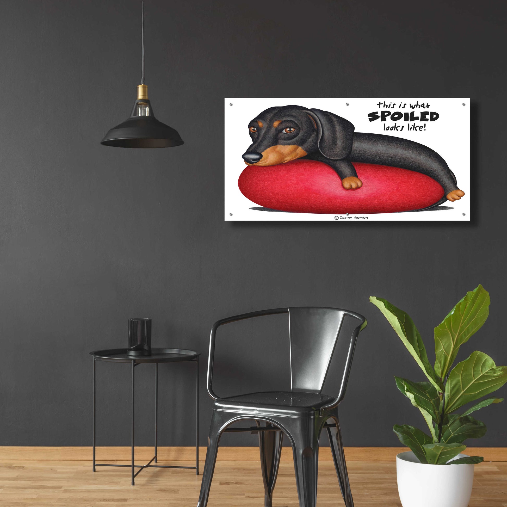 Epic Art 'Black Dachshund on Red Cushion' by Danny Gordon Art, Acrylic Glass Wall Art,48x24