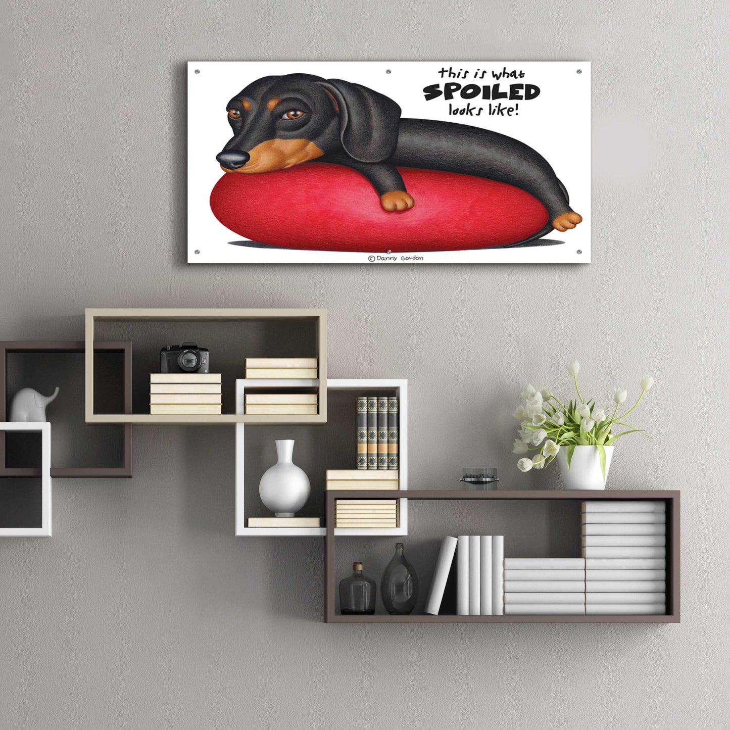 Epic Art 'Black Dachshund on Red Cushion' by Danny Gordon Art, Acrylic Glass Wall Art,48x24