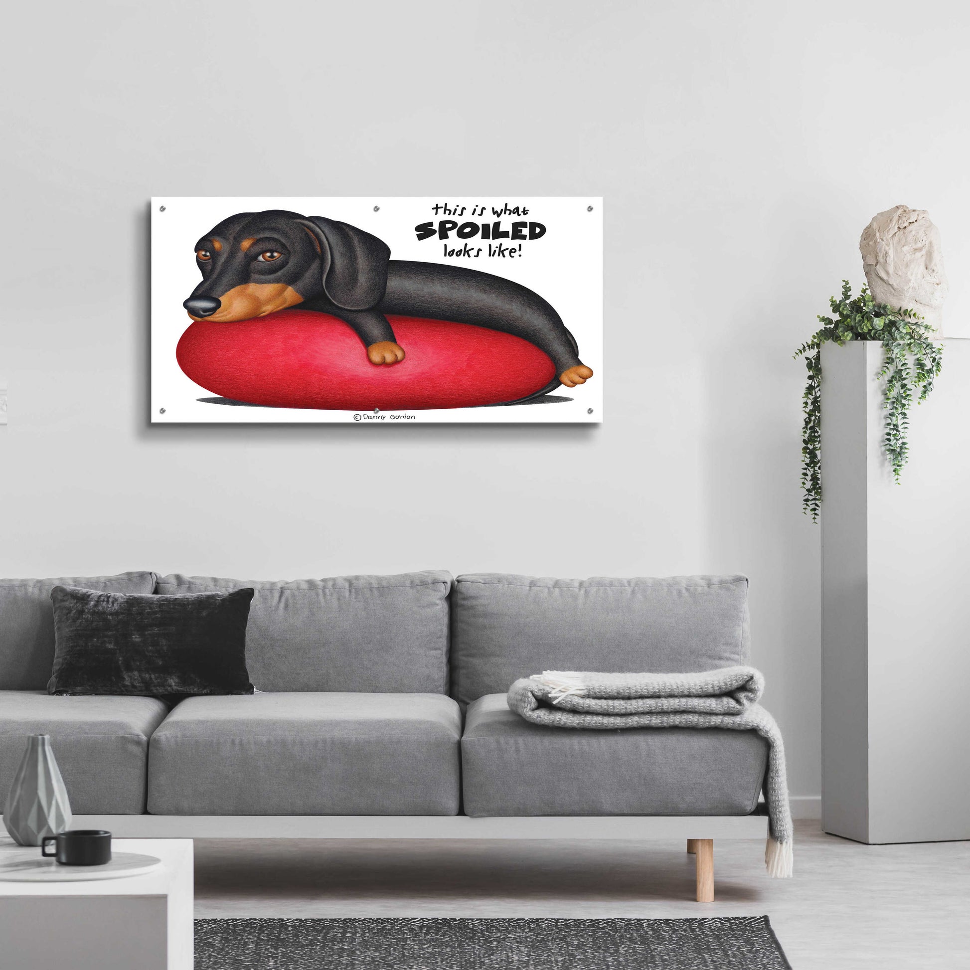 Epic Art 'Black Dachshund on Red Cushion' by Danny Gordon Art, Acrylic Glass Wall Art,48x24