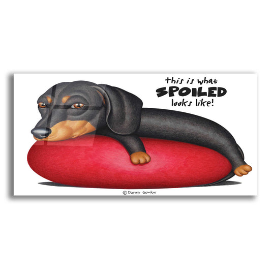 Epic Art 'Black Dachshund on Red Cushion' by Danny Gordon Art, Acrylic Glass Wall Art