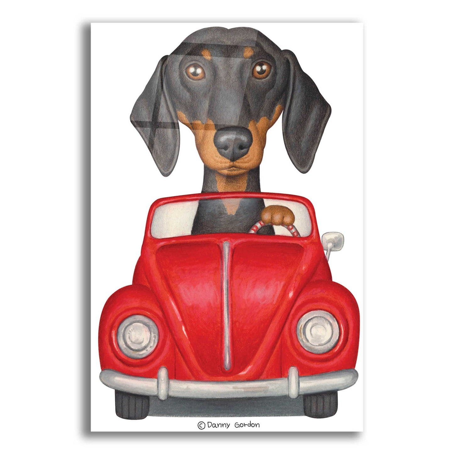 Epic Art 'Black Dachshund Red Volkswagon' by Danny Gordon Art, Acrylic Glass Wall Art