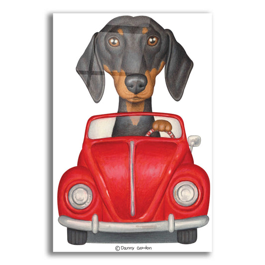 Epic Art 'Black Dachshund Red Volkswagon' by Danny Gordon Art, Acrylic Glass Wall Art