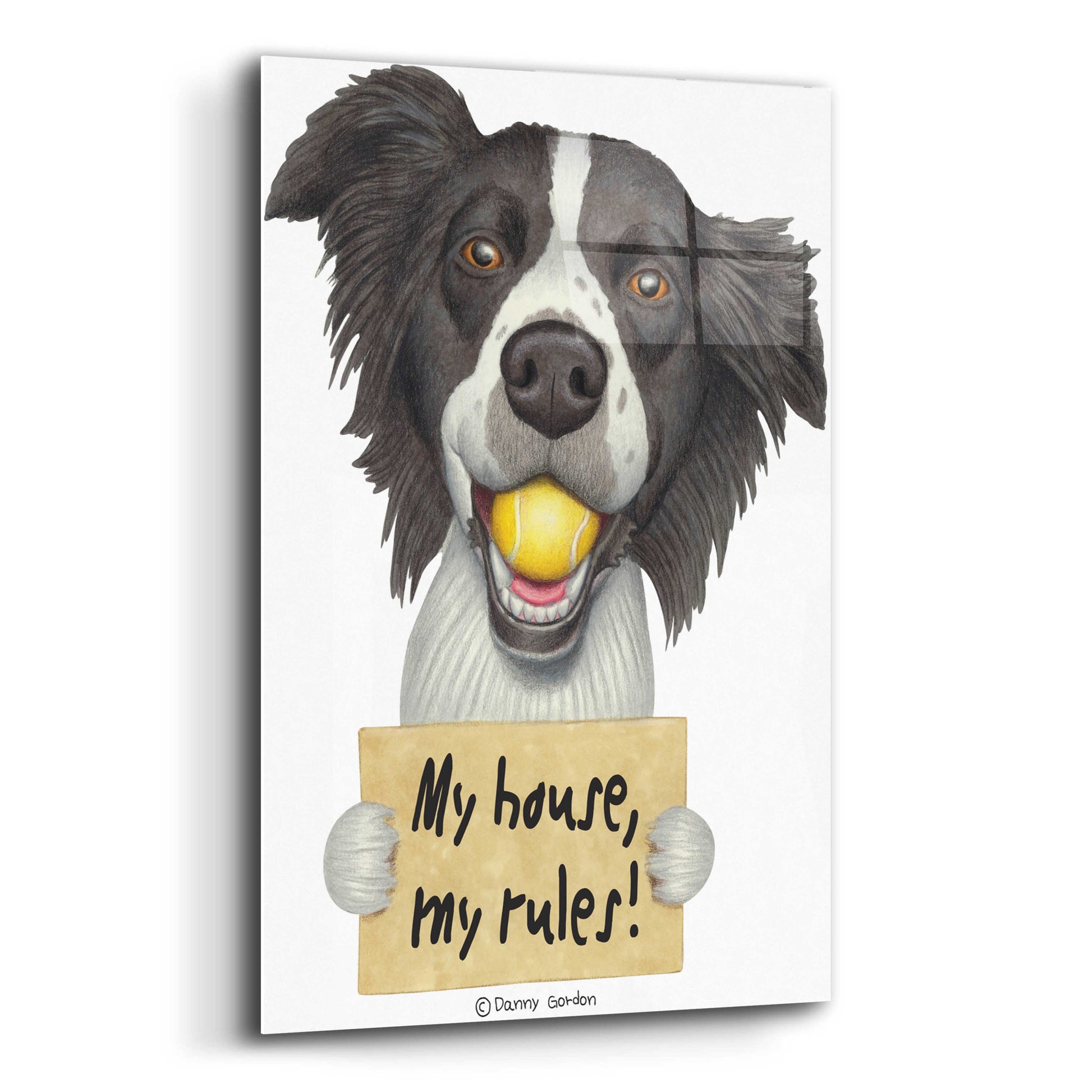 Epic Art 'Border Collie Ball in Mouth' by Danny Gordon Art, Acrylic Glass Wall Art,12x16