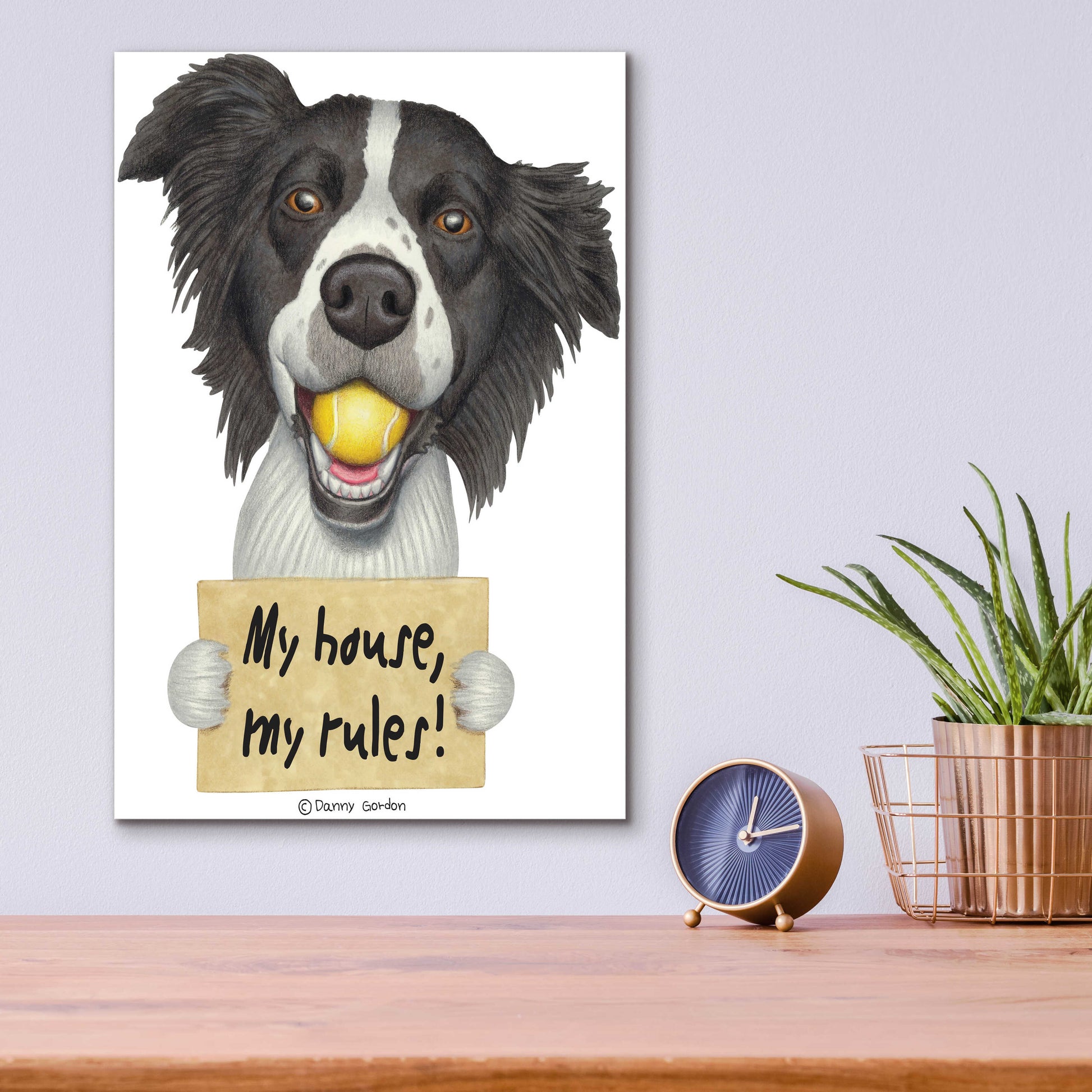 Epic Art 'Border Collie Ball in Mouth' by Danny Gordon Art, Acrylic Glass Wall Art,12x16