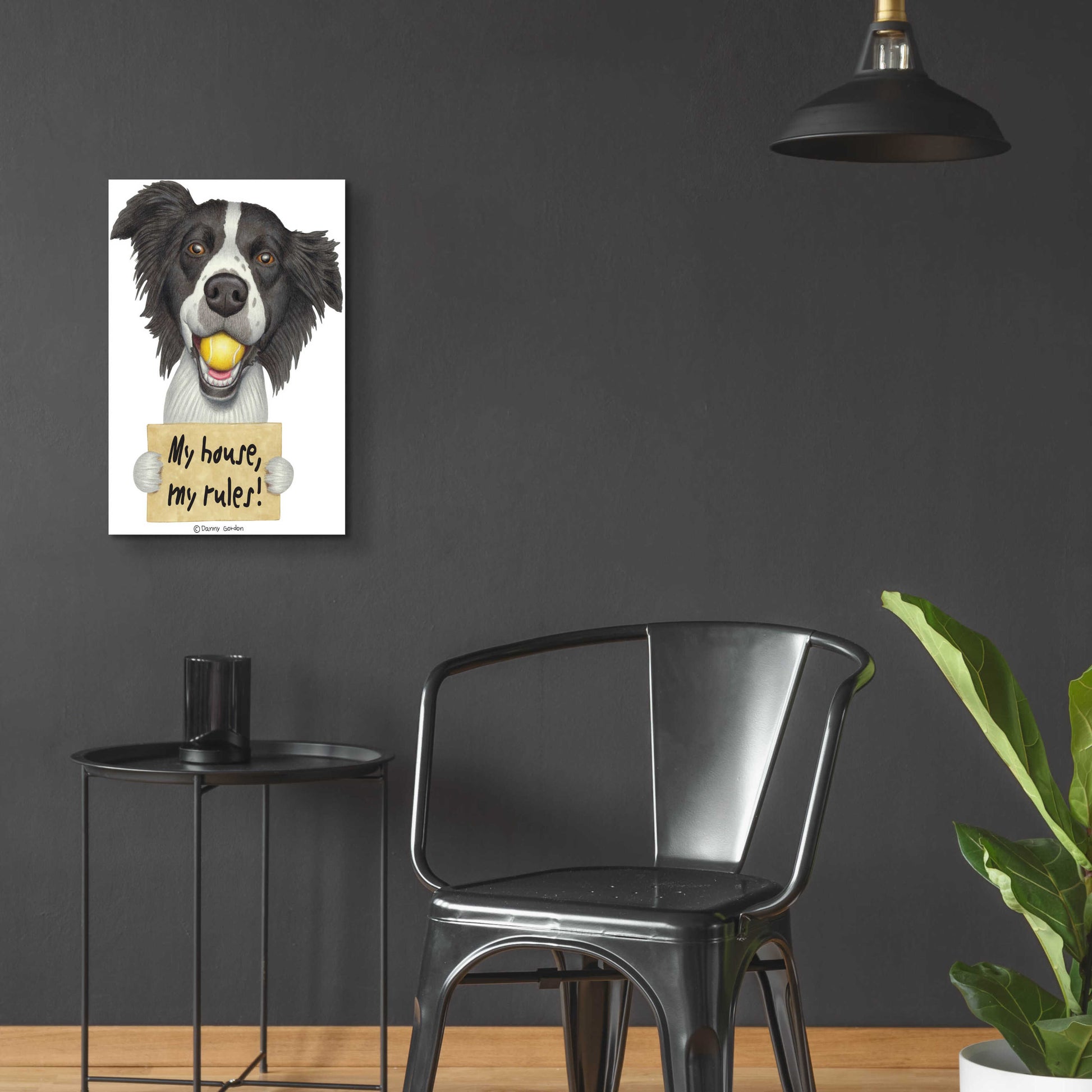 Epic Art 'Border Collie Ball in Mouth' by Danny Gordon Art, Acrylic Glass Wall Art,16x24