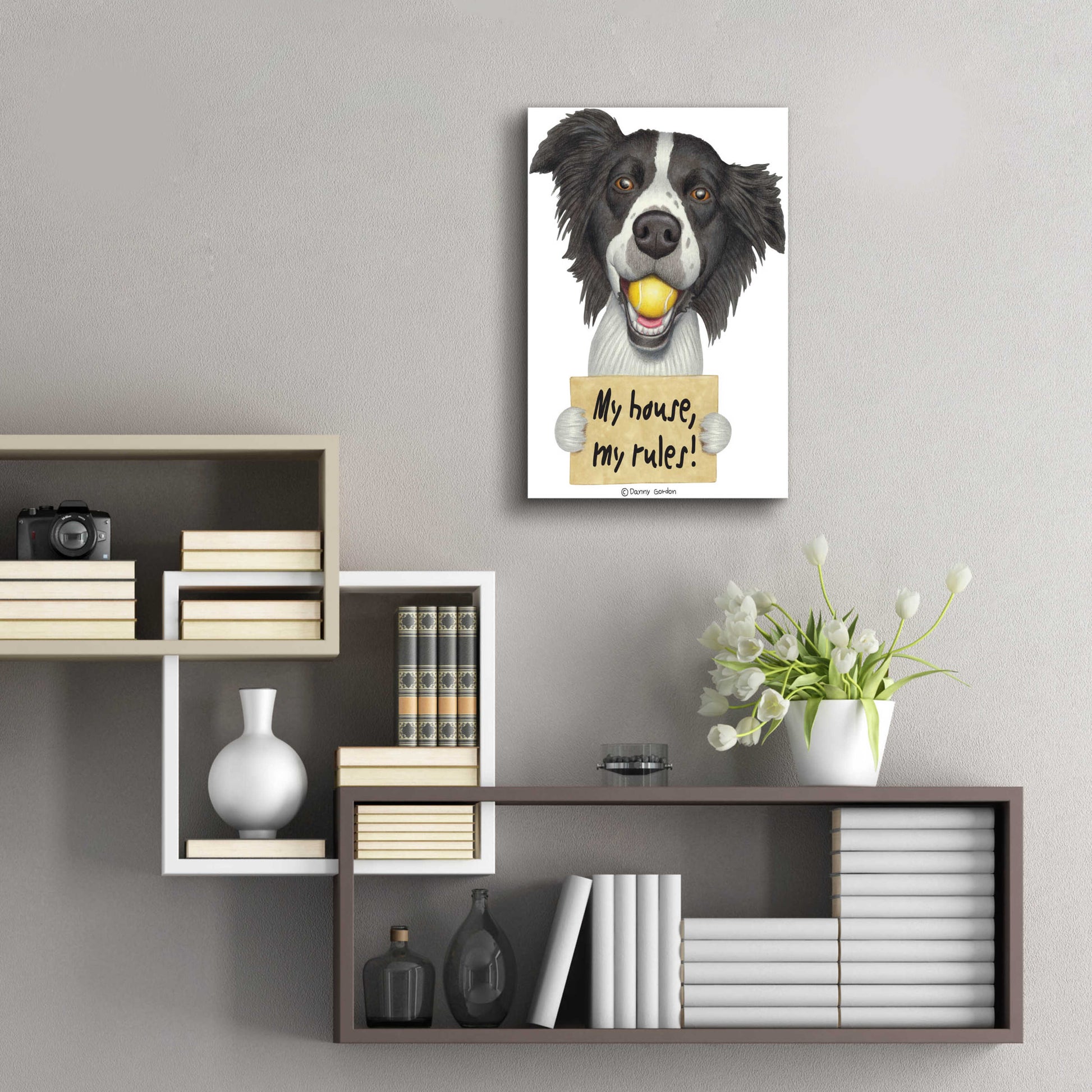 Epic Art 'Border Collie Ball in Mouth' by Danny Gordon Art, Acrylic Glass Wall Art,16x24