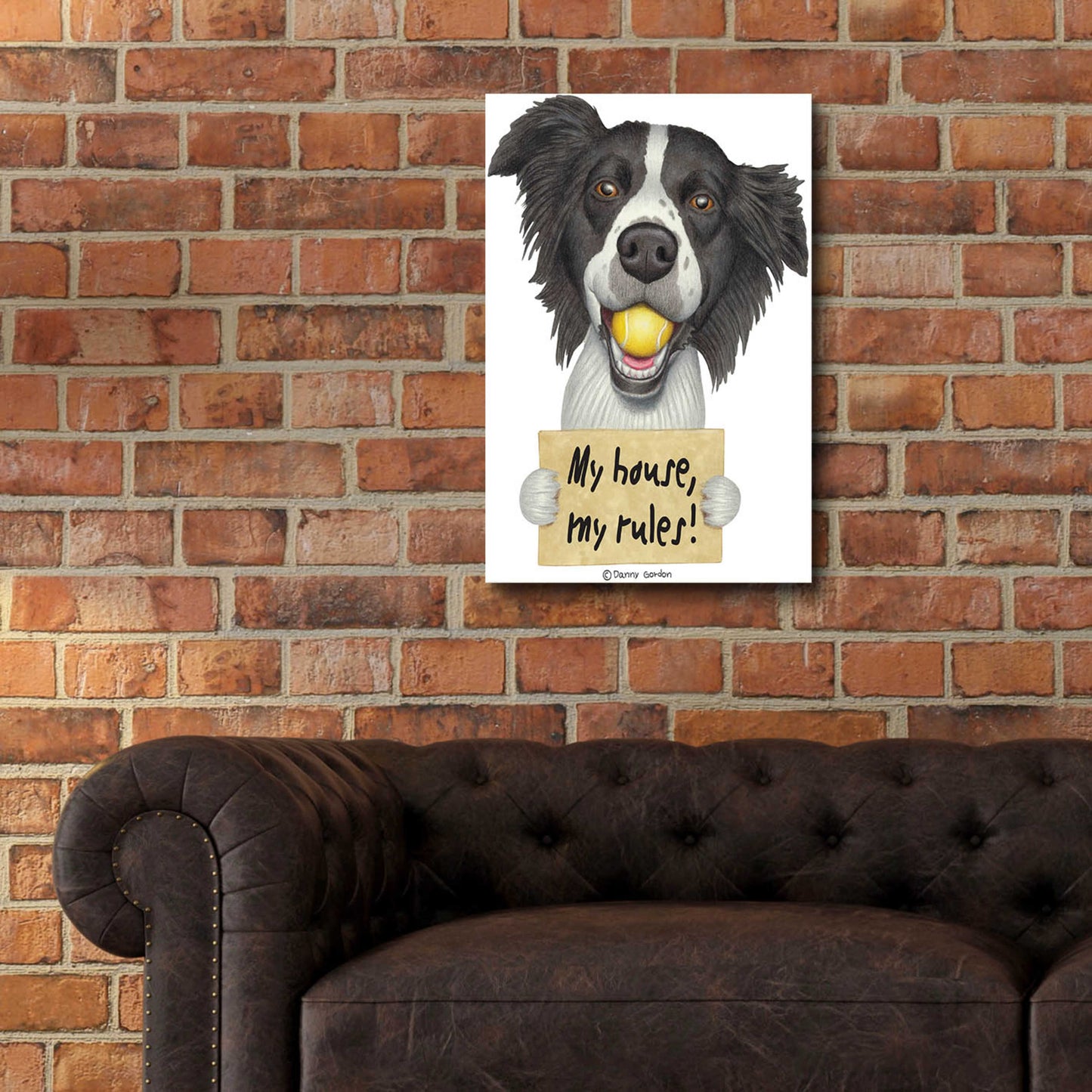 Epic Art 'Border Collie Ball in Mouth' by Danny Gordon Art, Acrylic Glass Wall Art,16x24