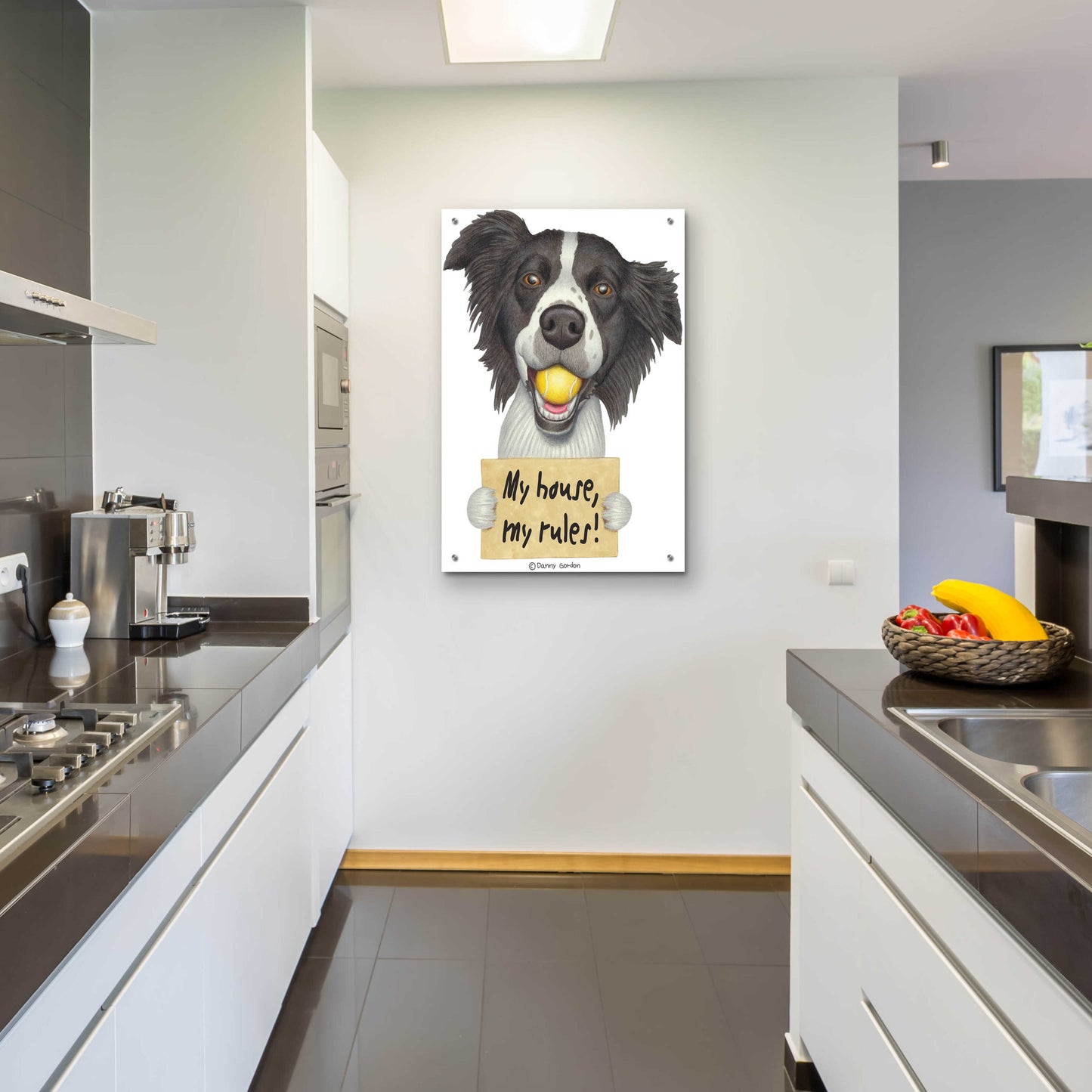 Epic Art 'Border Collie Ball in Mouth' by Danny Gordon Art, Acrylic Glass Wall Art,24x36