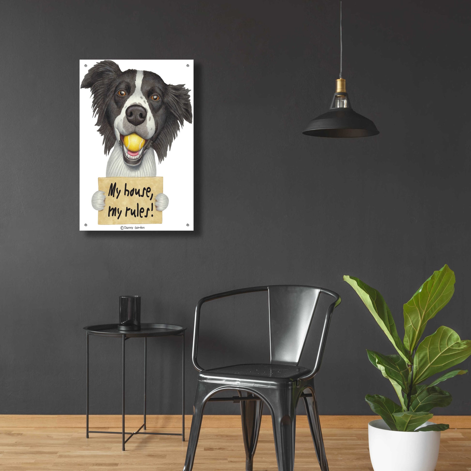 Epic Art 'Border Collie Ball in Mouth' by Danny Gordon Art, Acrylic Glass Wall Art,24x36