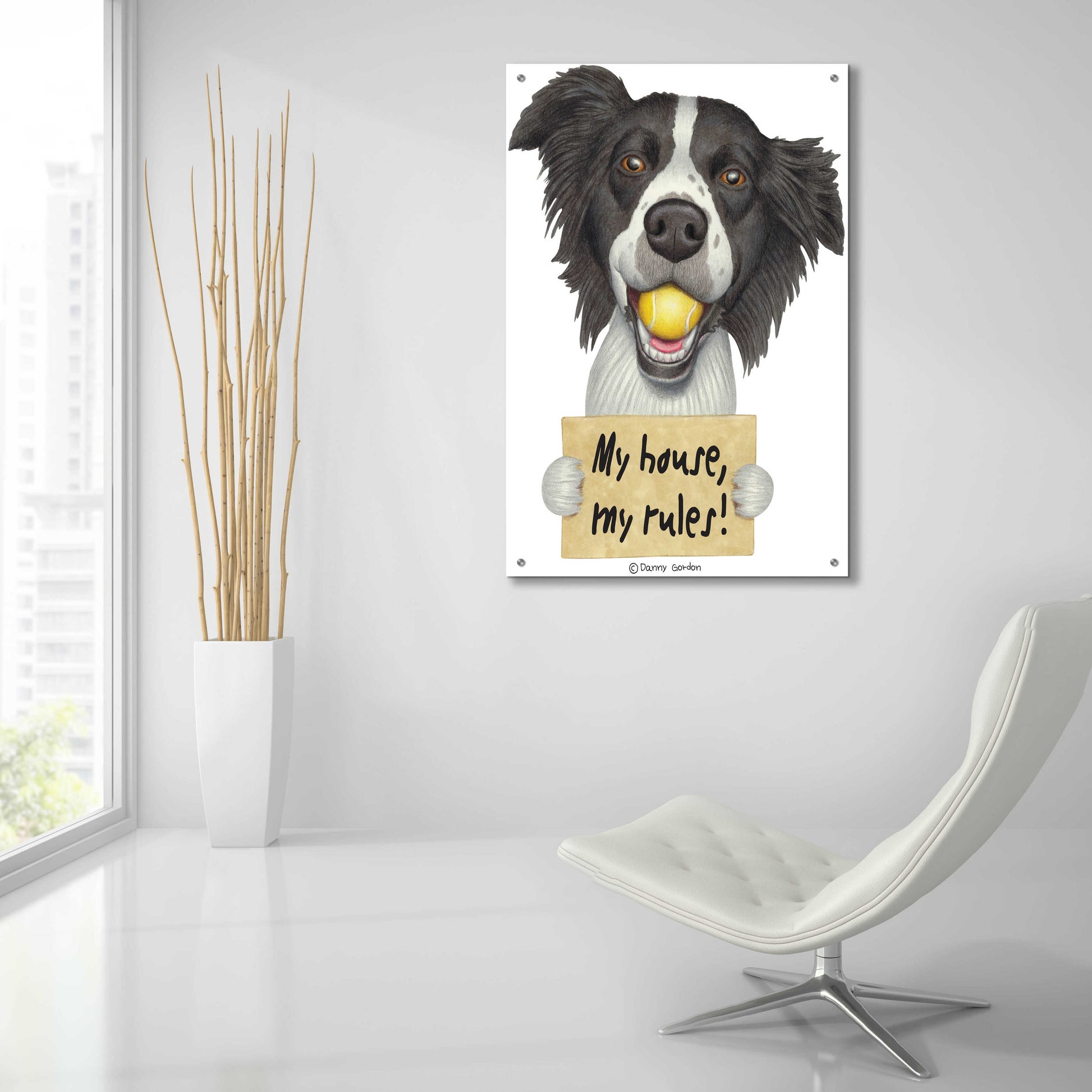 Epic Art 'Border Collie Ball in Mouth' by Danny Gordon Art, Acrylic Glass Wall Art,24x36