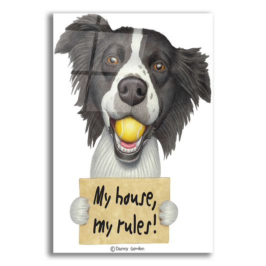 Epic Art 'Border Collie Ball in Mouth' by Danny Gordon Art, Acrylic Glass Wall Art