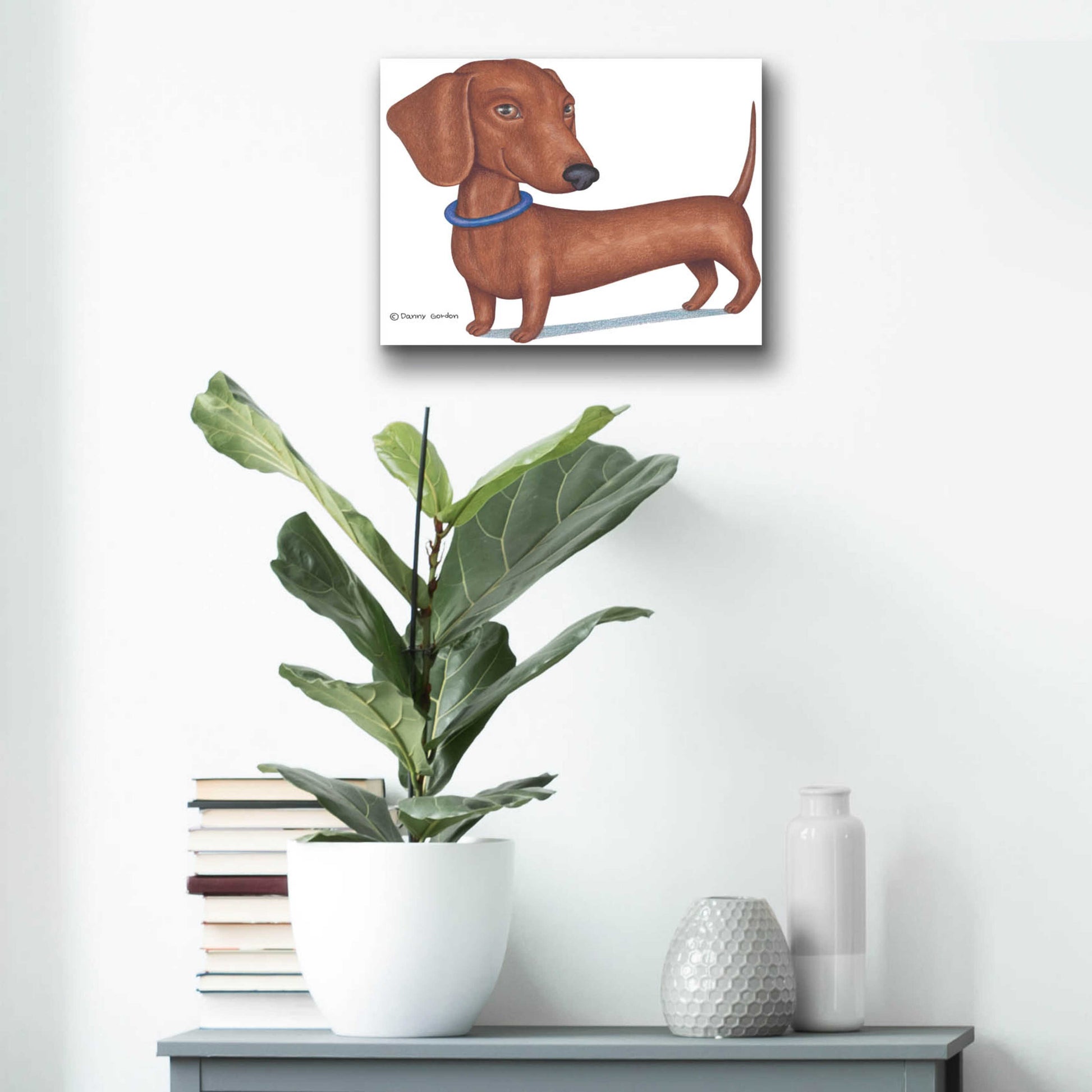 Epic Art 'Brown Dachshund Blue Collar' by Danny Gordon Art, Acrylic Glass Wall Art,16x12