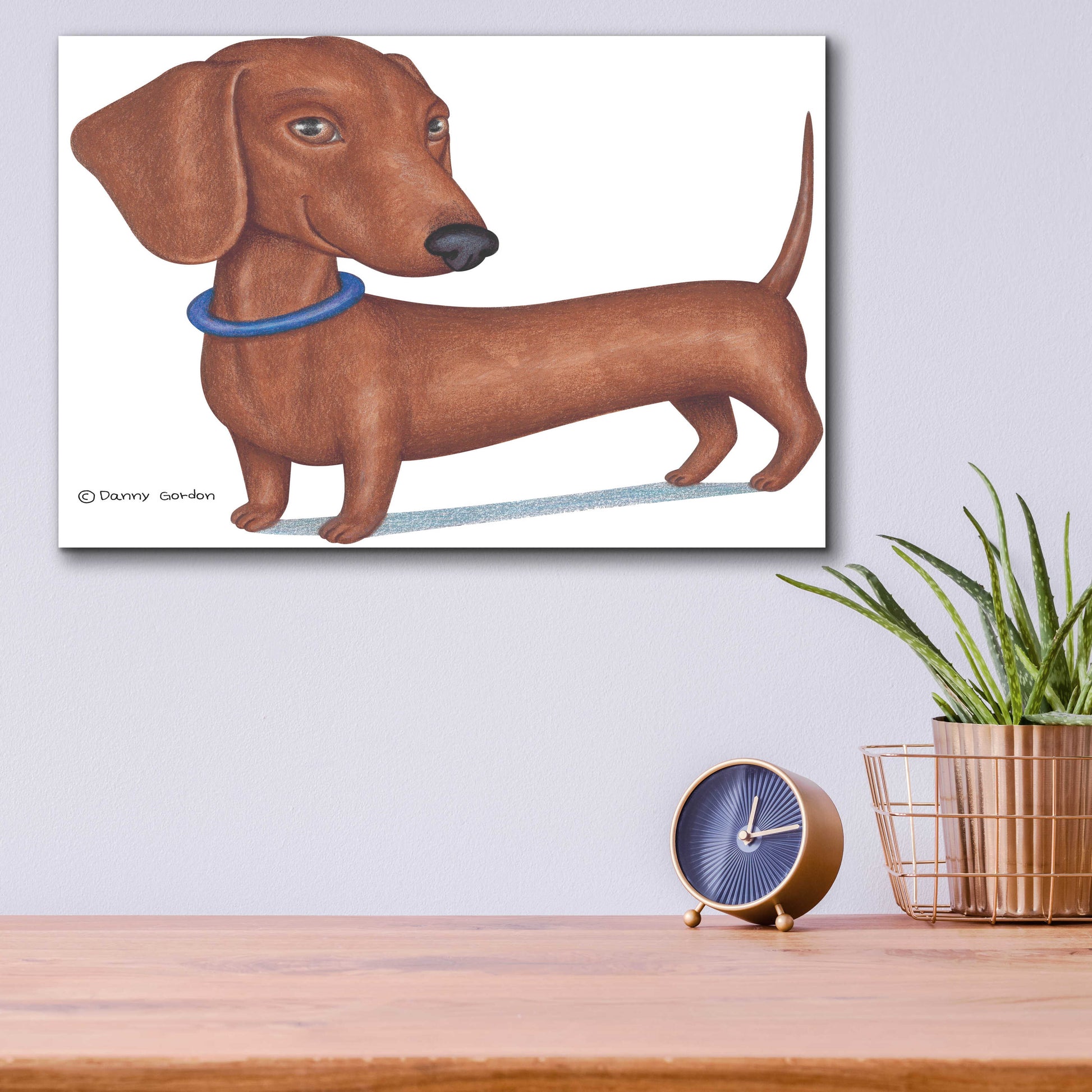 Epic Art 'Brown Dachshund Blue Collar' by Danny Gordon Art, Acrylic Glass Wall Art,16x12