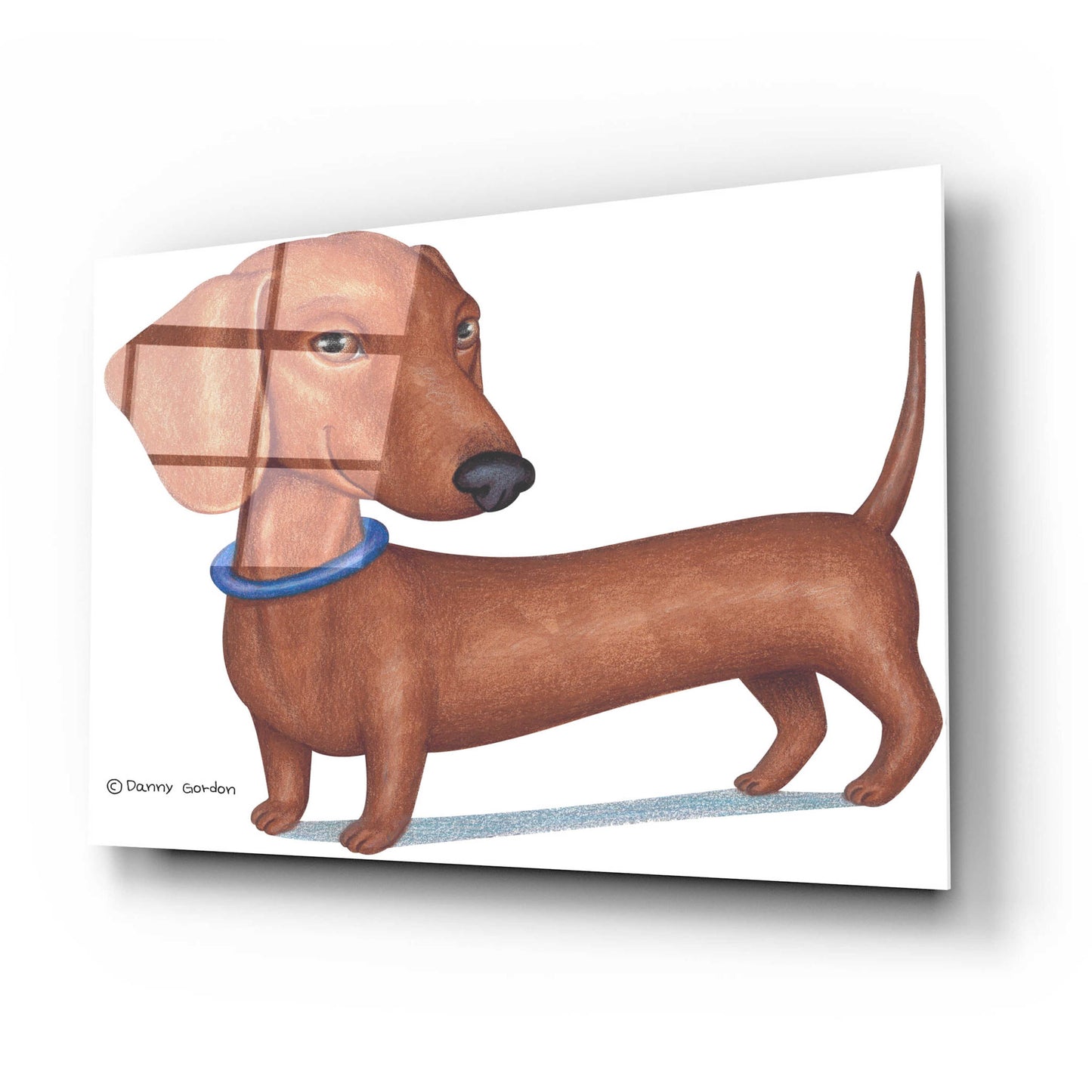 Epic Art 'Brown Dachshund Blue Collar' by Danny Gordon Art, Acrylic Glass Wall Art,24x16