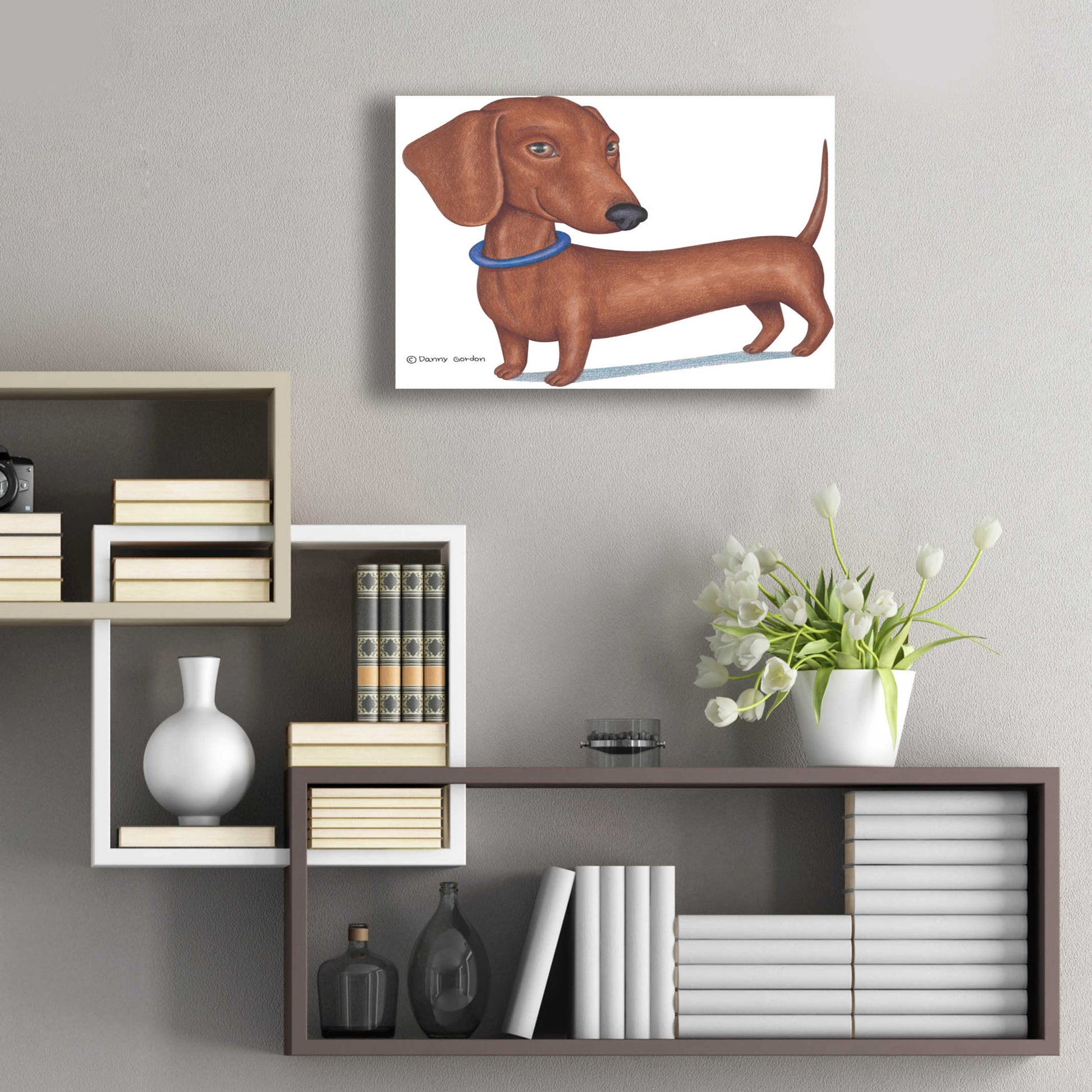 Epic Art 'Brown Dachshund Blue Collar' by Danny Gordon Art, Acrylic Glass Wall Art,24x16