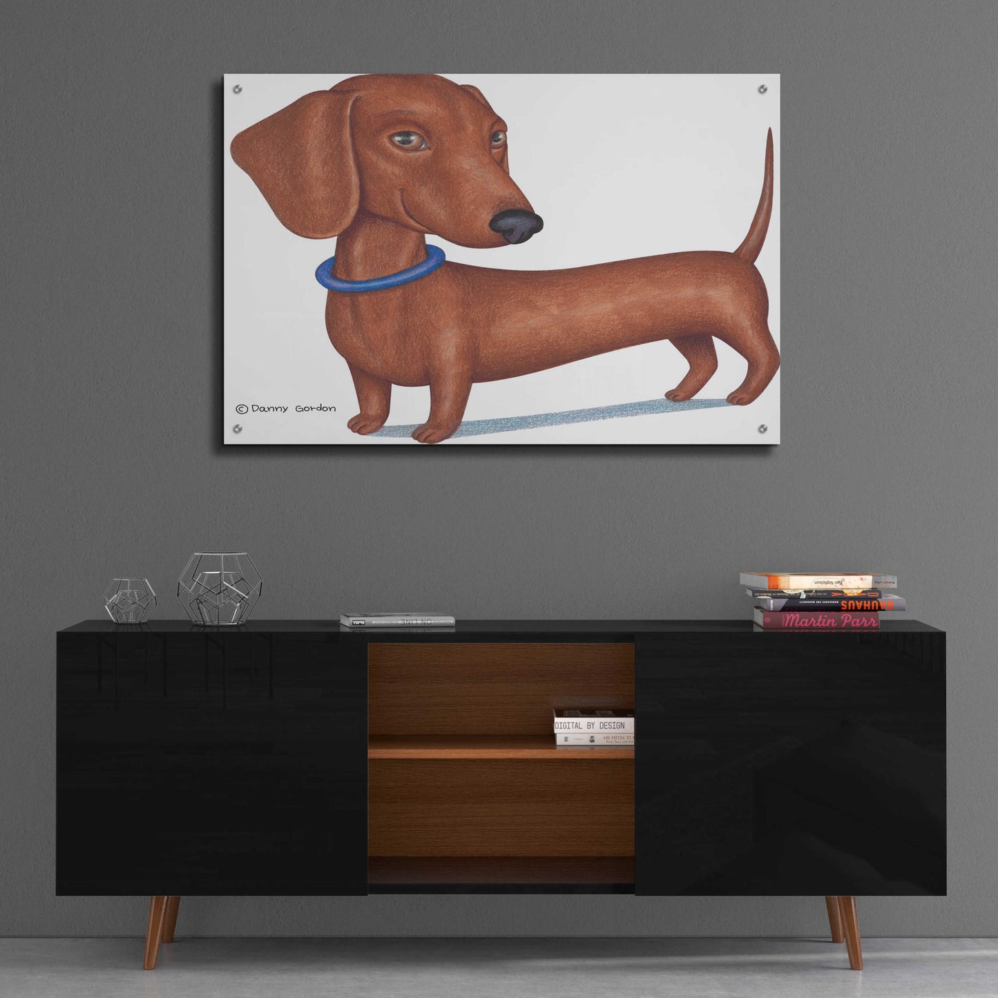 Epic Art 'Brown Dachshund Blue Collar' by Danny Gordon Art, Acrylic Glass Wall Art,36x24