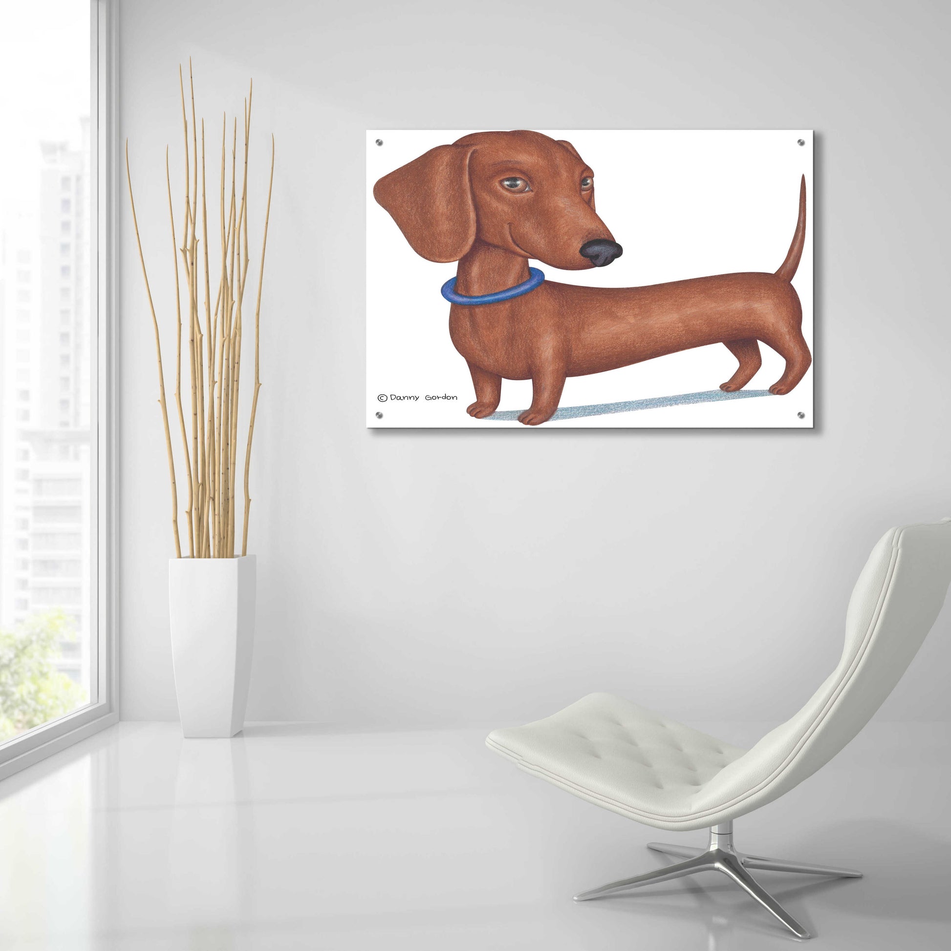 Epic Art 'Brown Dachshund Blue Collar' by Danny Gordon Art, Acrylic Glass Wall Art,36x24